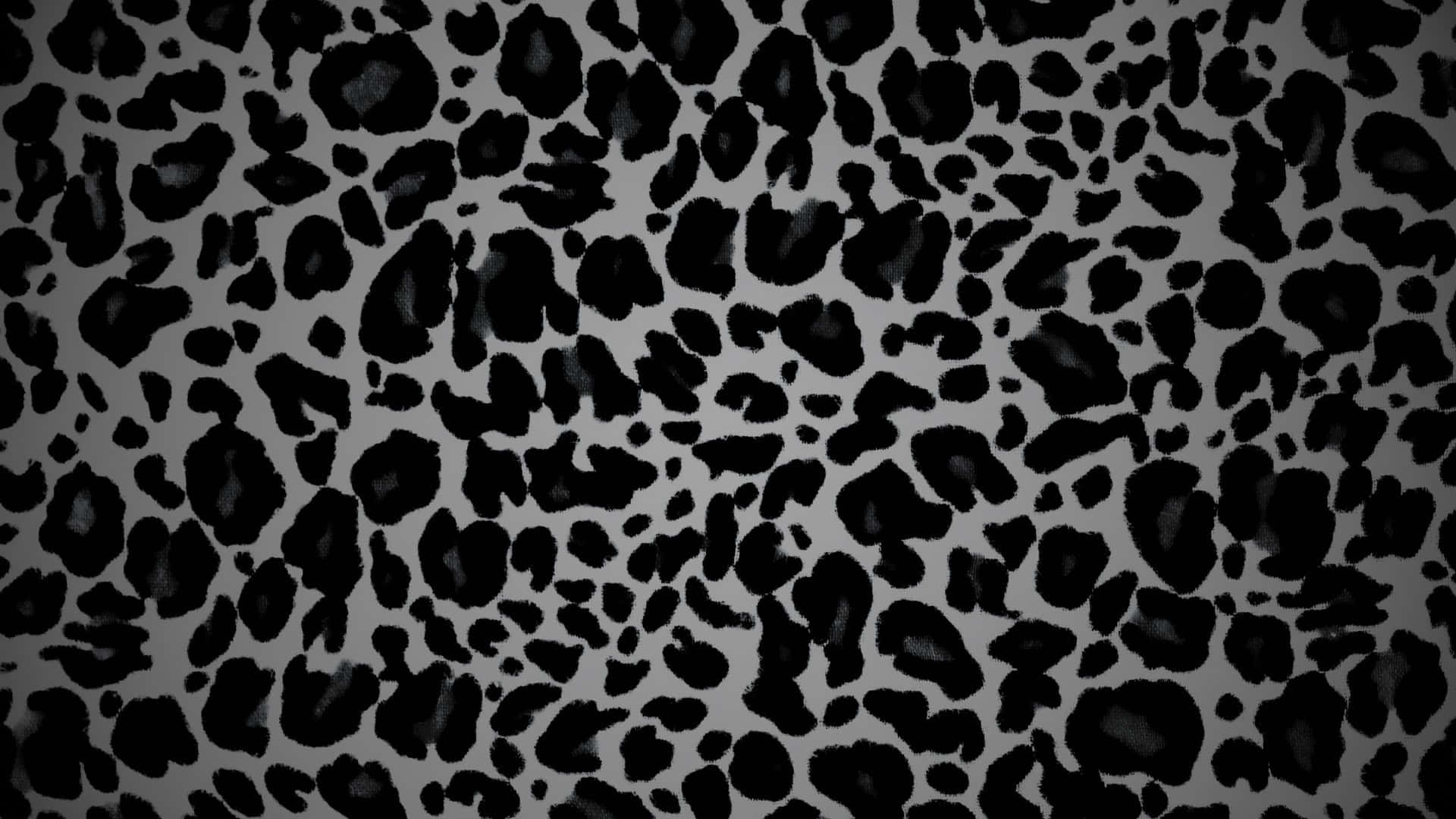 black cheetah print, leopard print pattern, black and gray, Full HD Desktop Wallpaper