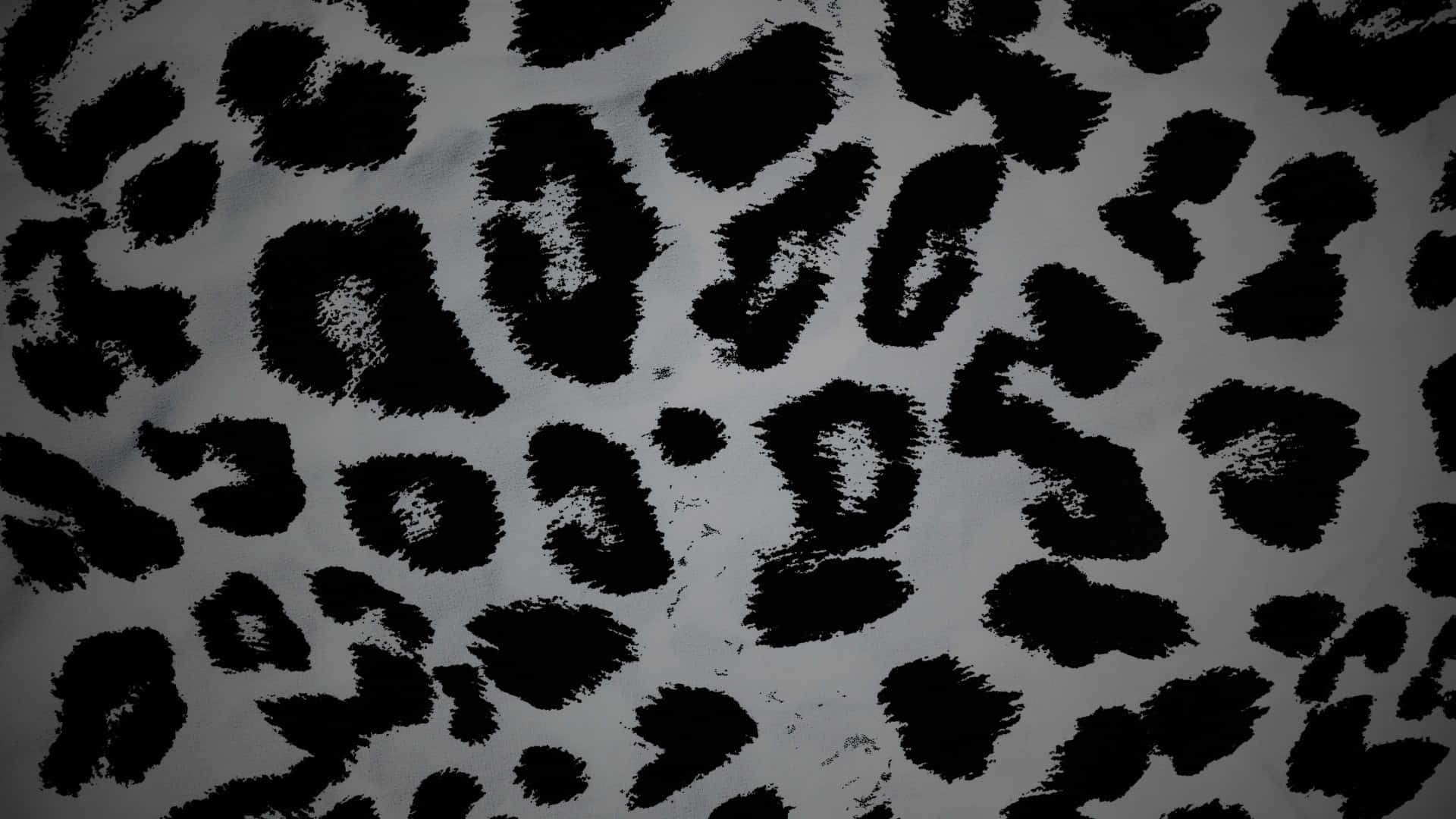 black cheetah print pattern, leopard print pattern, black and gray, Full HD Desktop Wallpaper