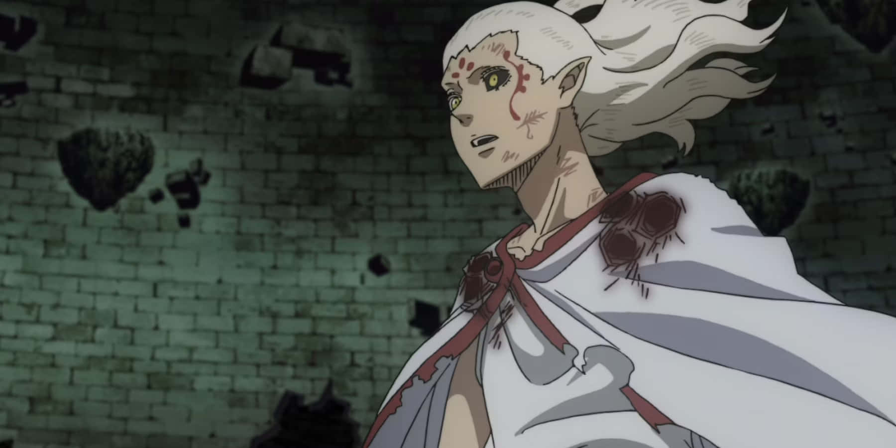 Black Clover Licht, mystic gaze, white-haired anime elf, HD Desktop Wallpaper