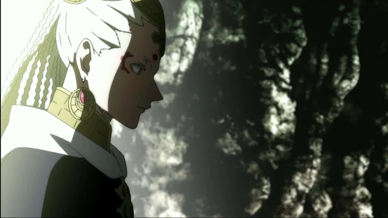 Black Clover Licht, white-haired anime character, red markings, HD Desktop Wallpaper