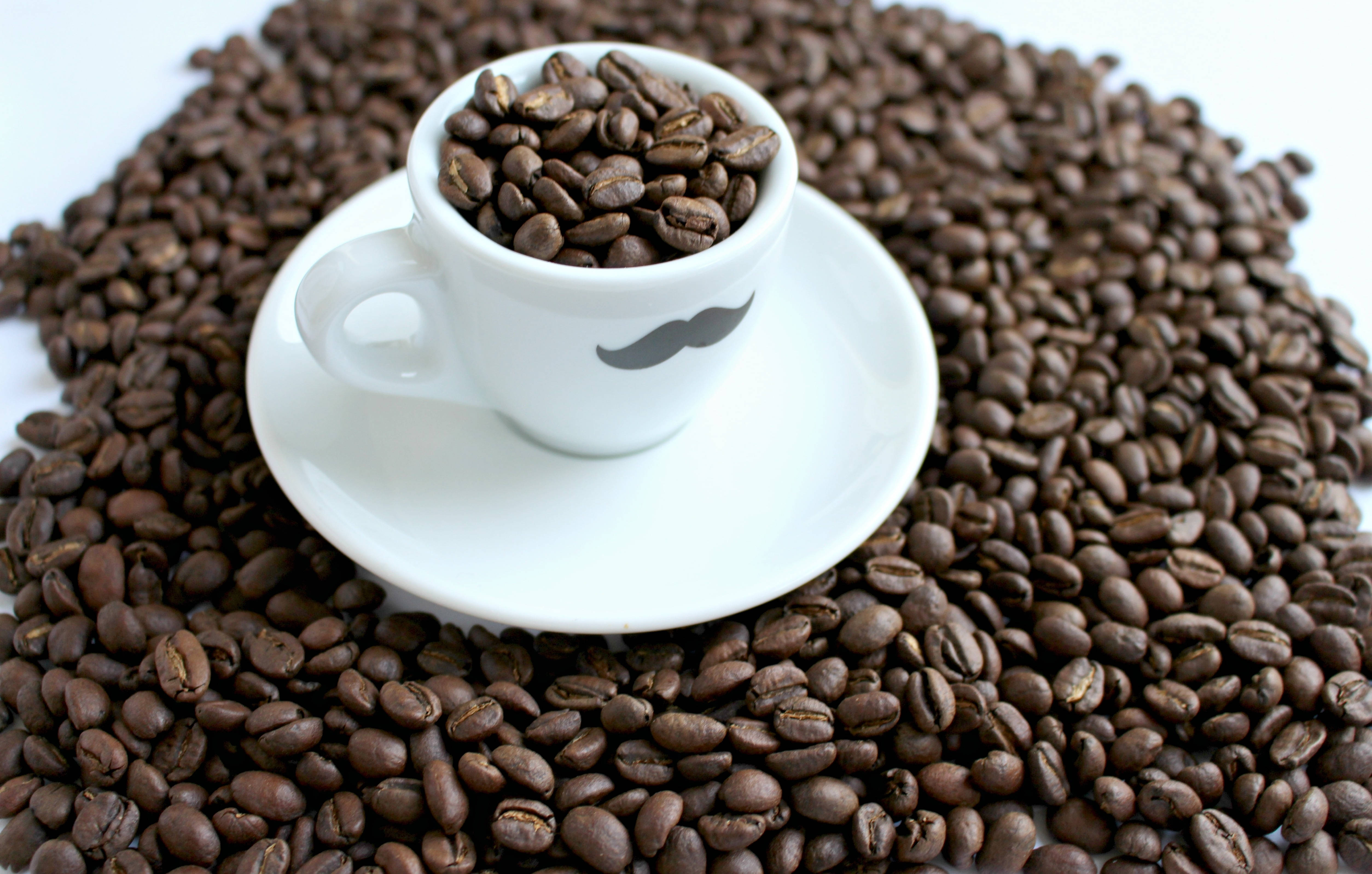 black coffee beans, white coffee cup, mustache design, 4K Desktop Wallpaper