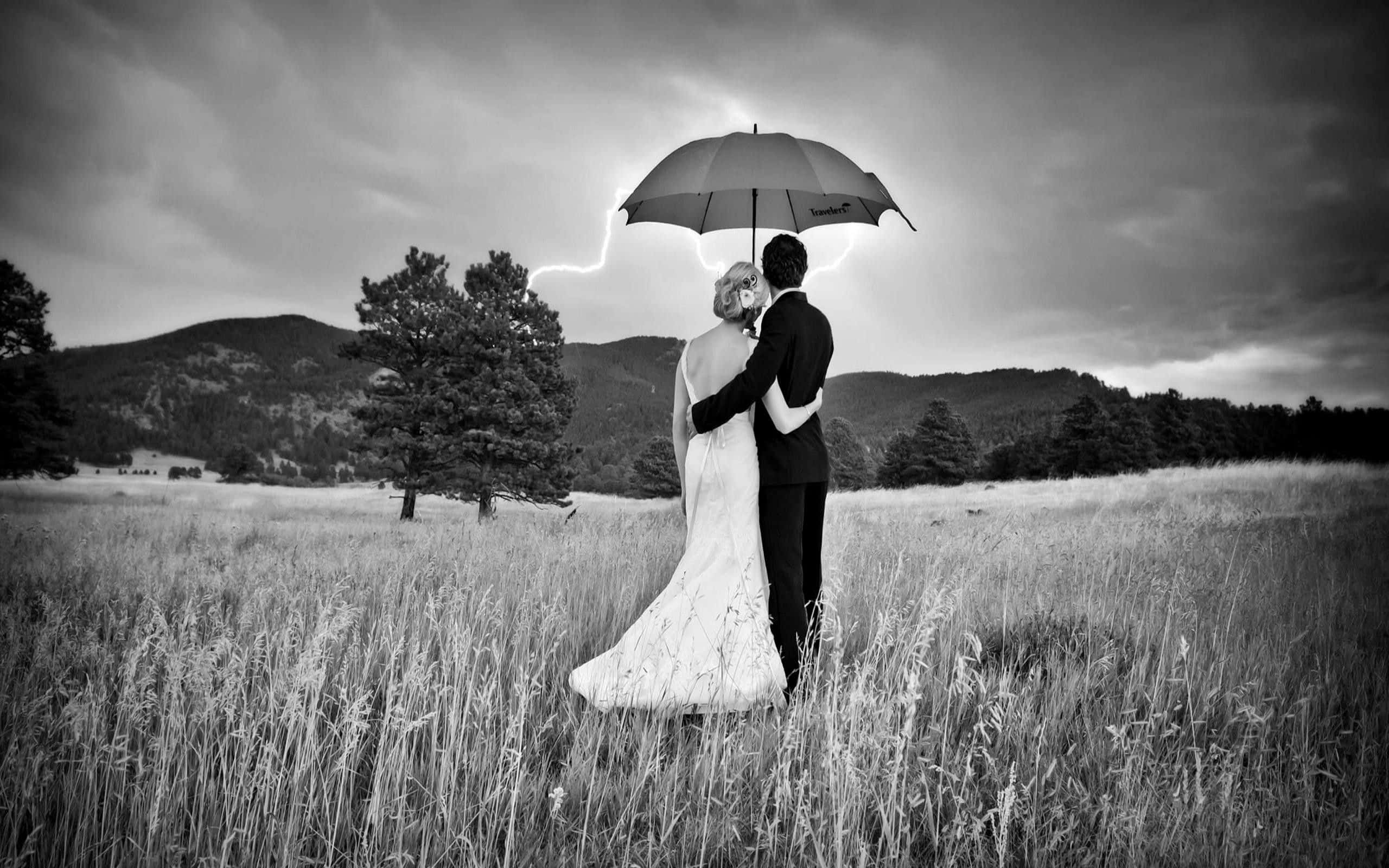 black couple, bride and groom, umbrella, 2K Desktop Wallpaper