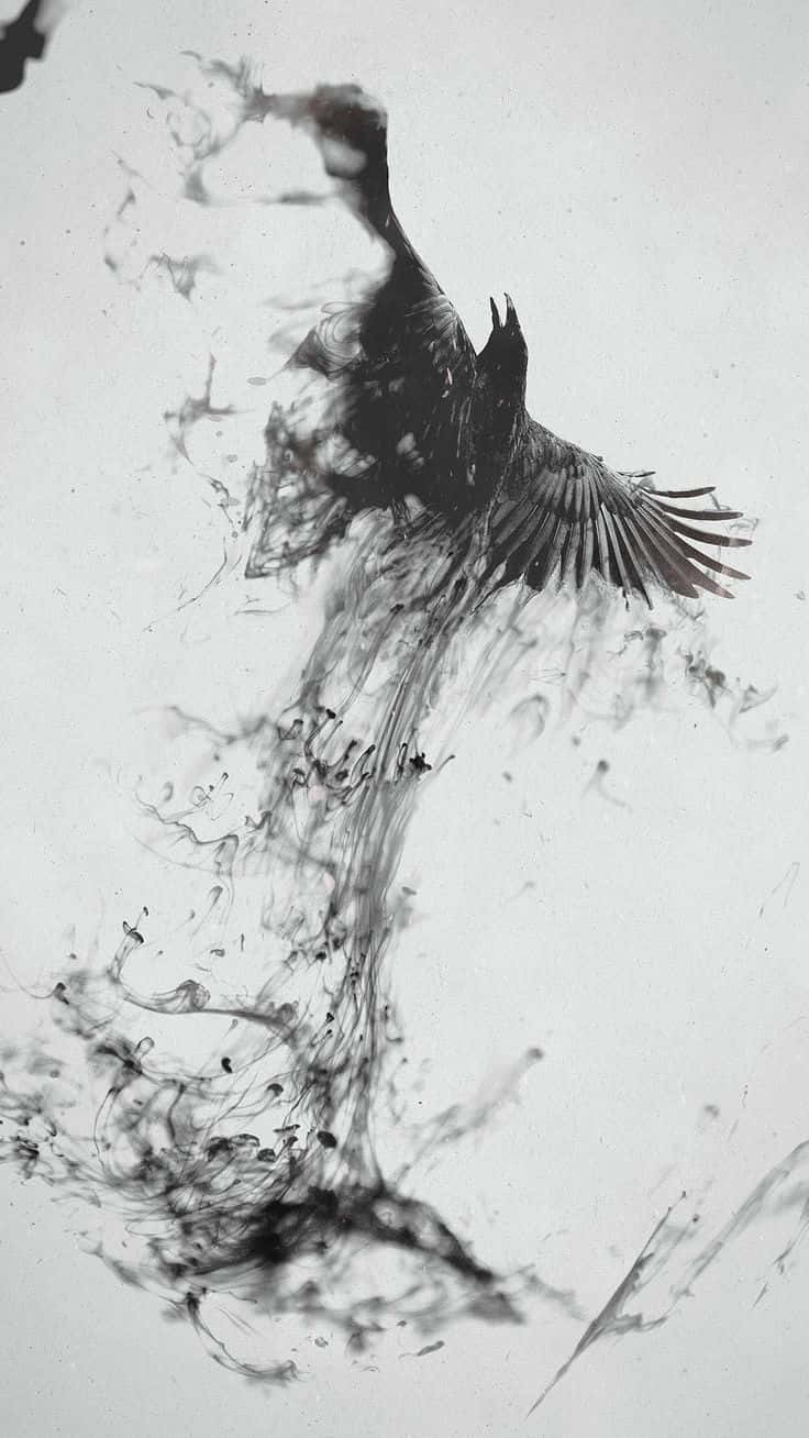 Black Crowes, black ink bird, swirling splatters, HD Phone Wallpaper