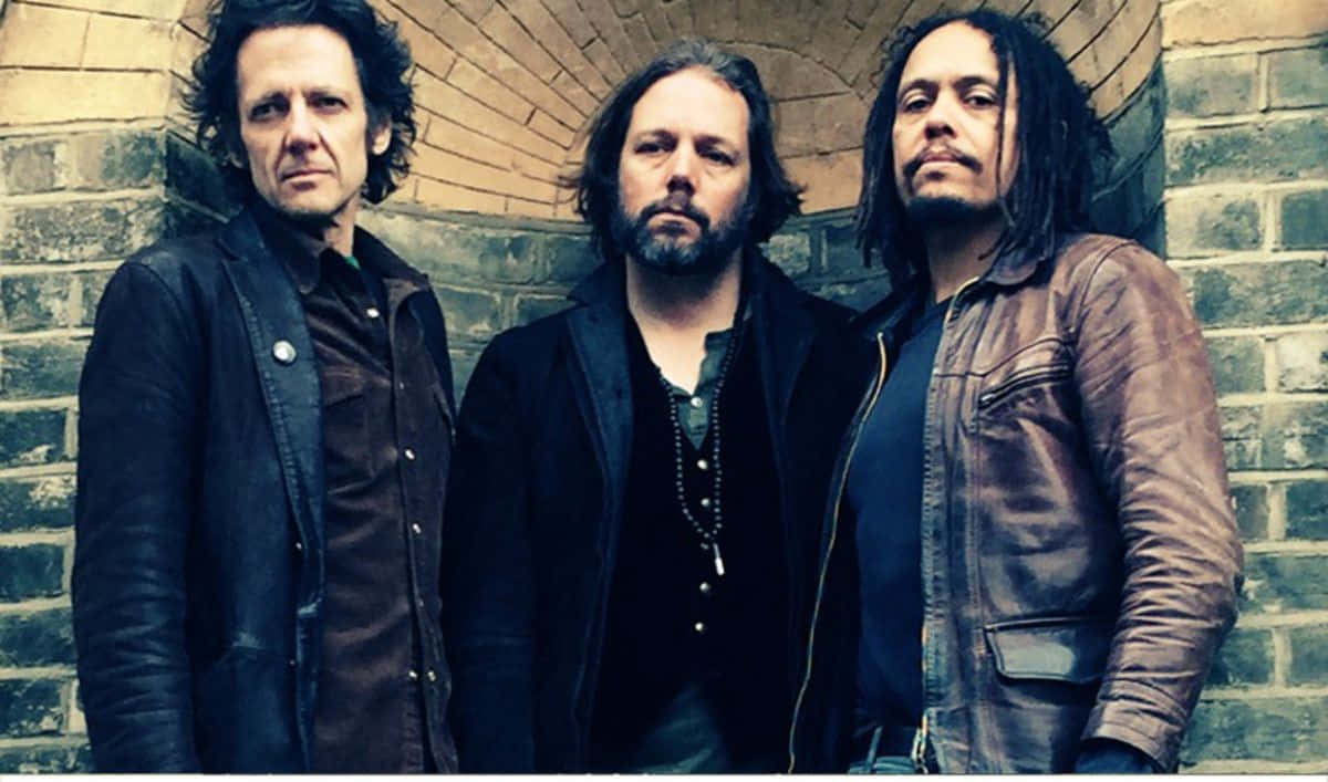 The Black Crowes, southern blues, soul, SD Desktop Wallpaper
