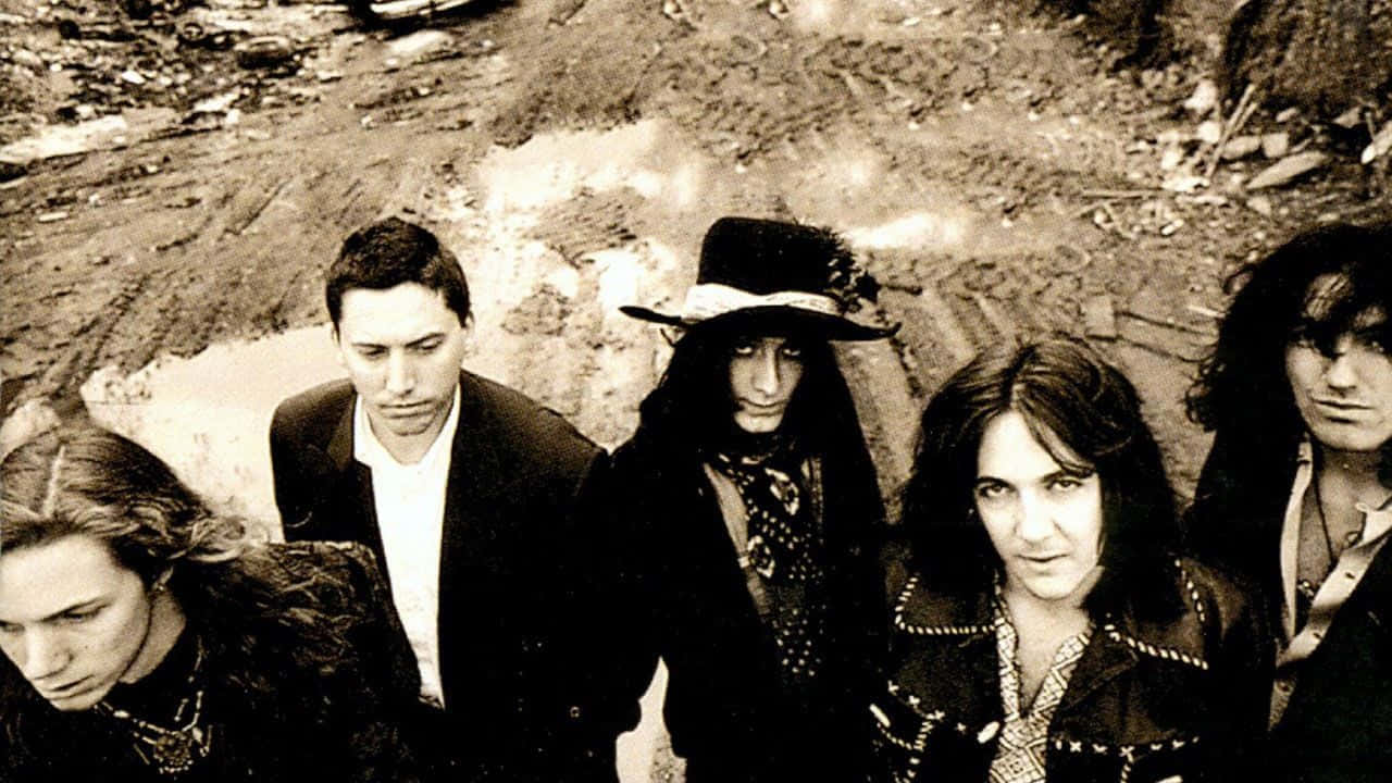The Black Crowes, rock group, live show, HD Desktop Wallpaper