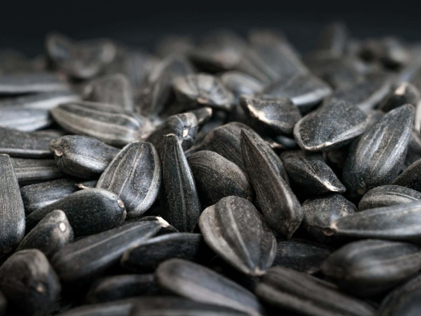 Black Cumin, dark gray sunflower seeds, textured ridges, HD Desktop Wallpaper