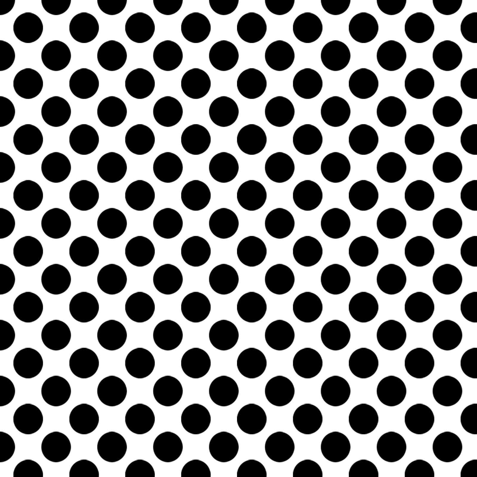 Black Polka Dot, bold black polka dots, crisp white background, HD Desktop Wallpaper