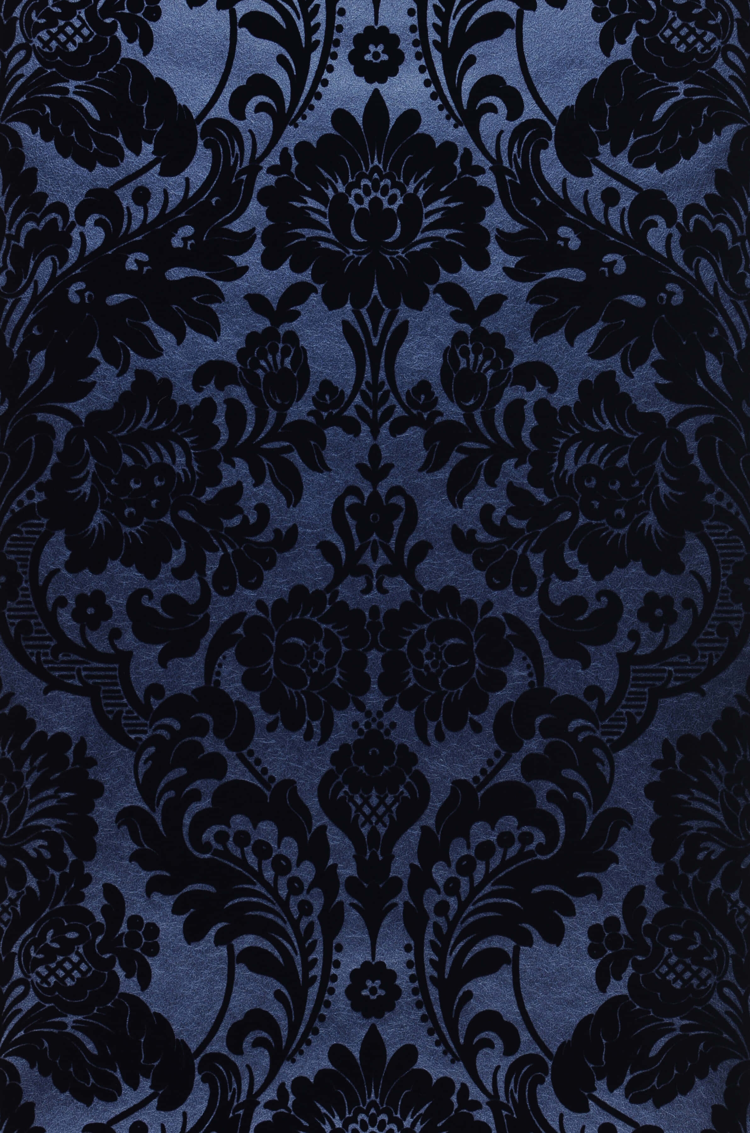 elegant black damask pattern, black floral patterns, navy blue velvet-like background, 2K Phone Wallpaper