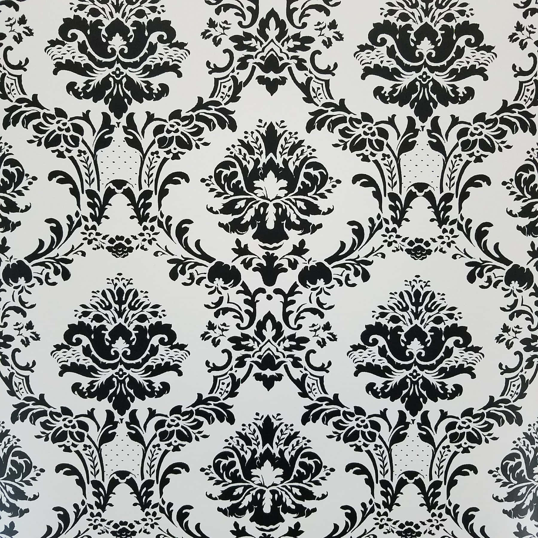 elegant black damask pattern, light gray background, intricate floral motifs, HD Desktop Wallpaper