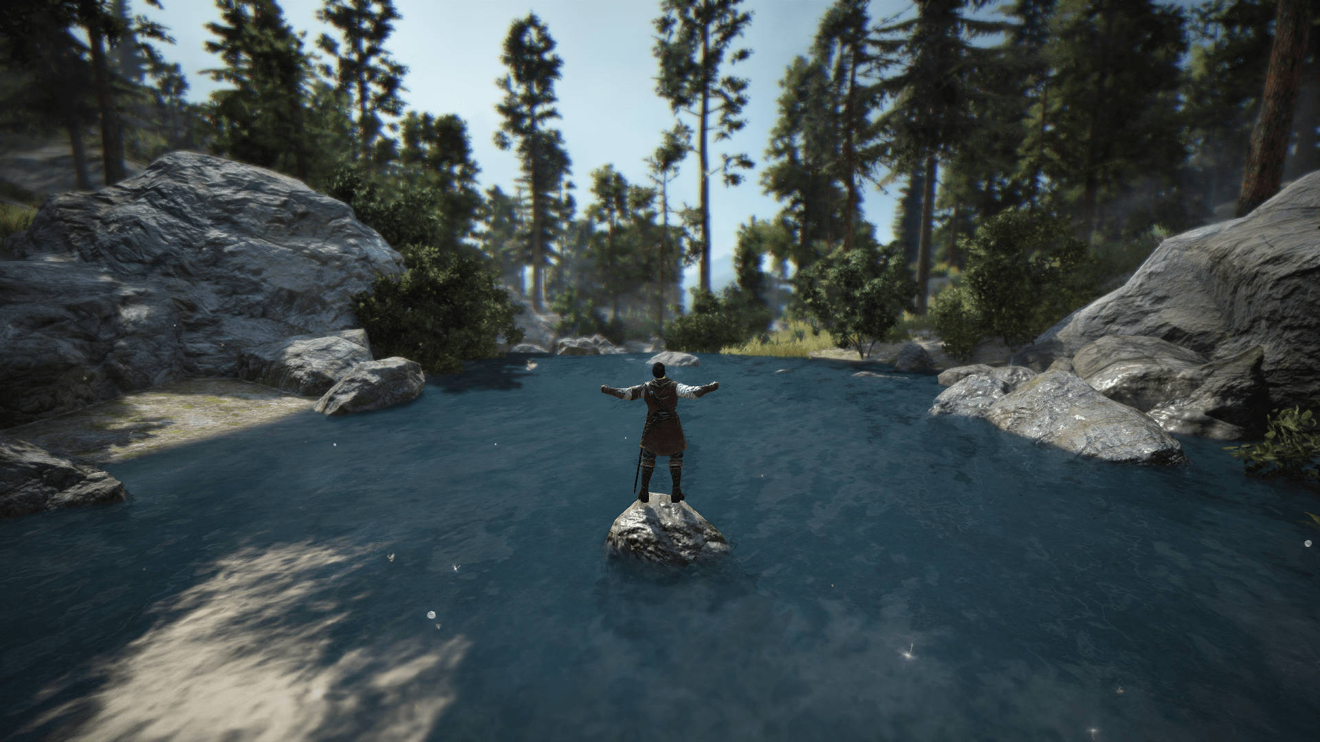 Black Desert Online, rock, forest river, Full HD Desktop Wallpaper