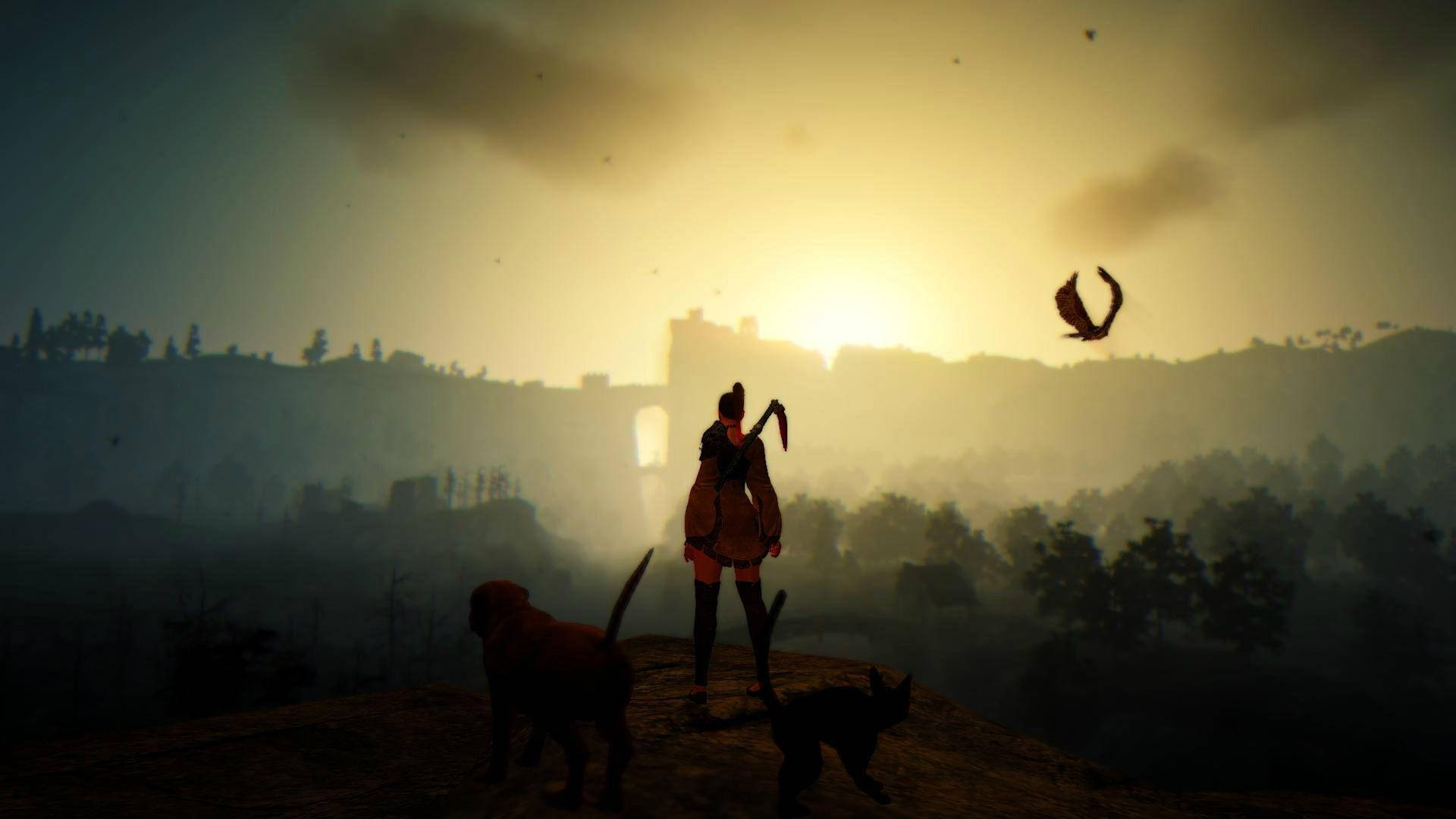 Sunrise Black Desert Online, sunset, hill, Full HD Desktop Wallpaper