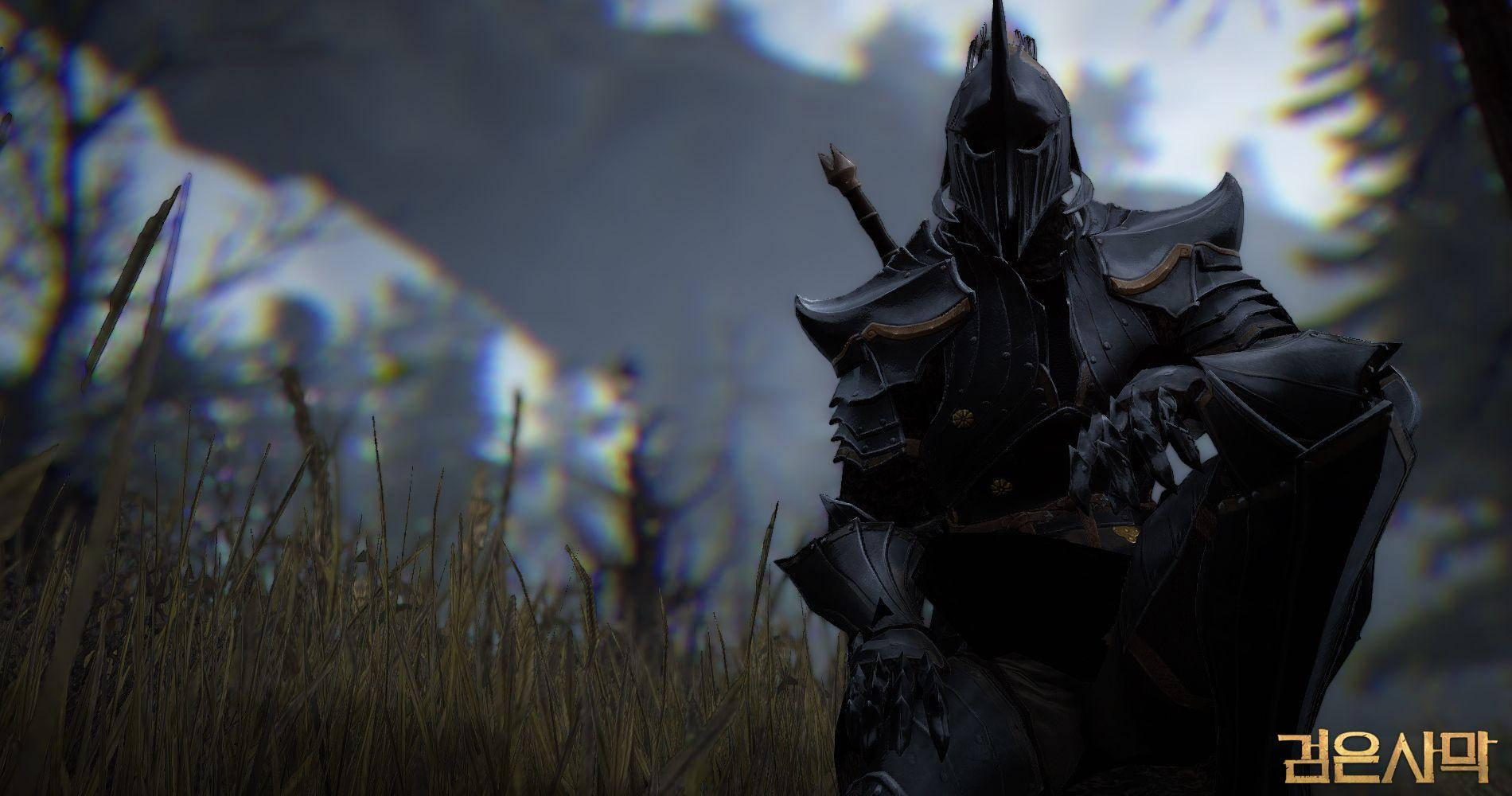 Black Desert Online, full armor, horned helmet, HD Desktop Wallpaper