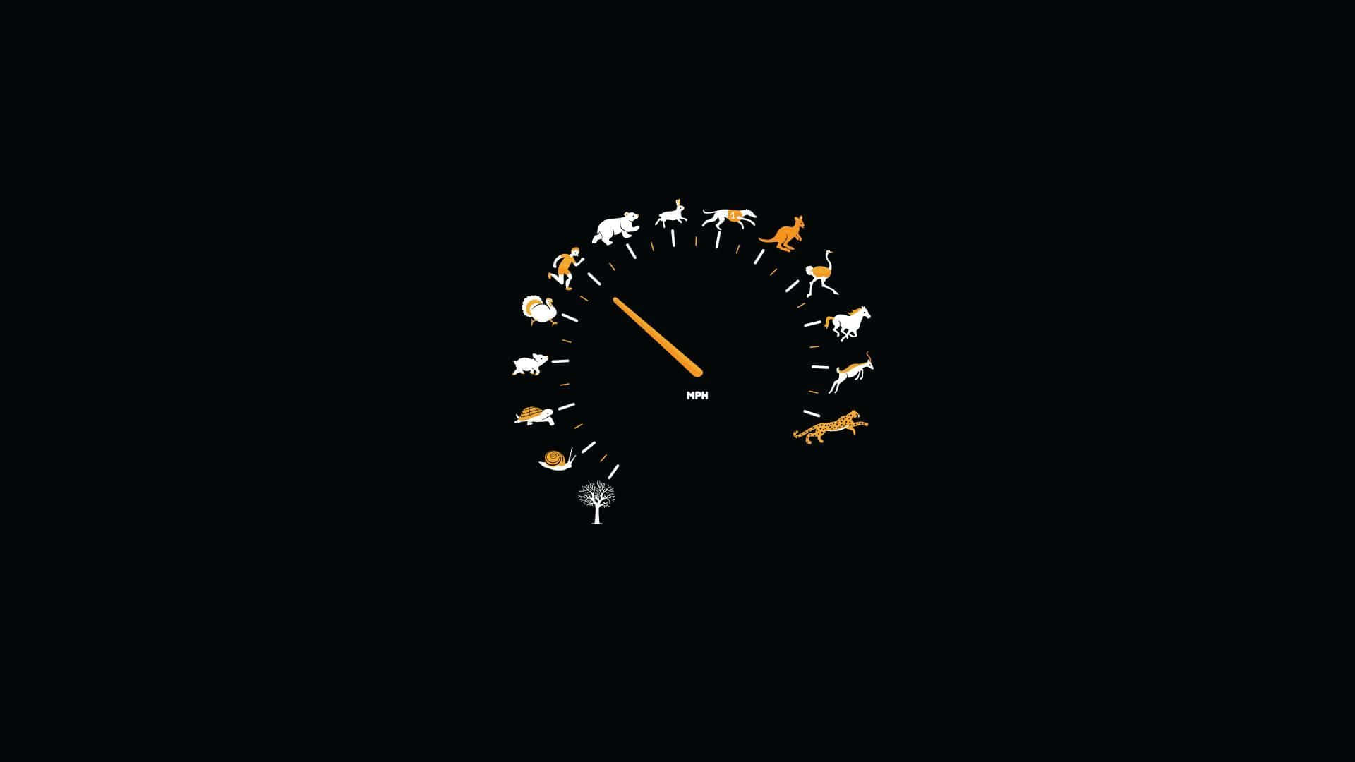 Ridiculous Animal Speedometer, animal icons, tree, Full HD Desktop Wallpaper