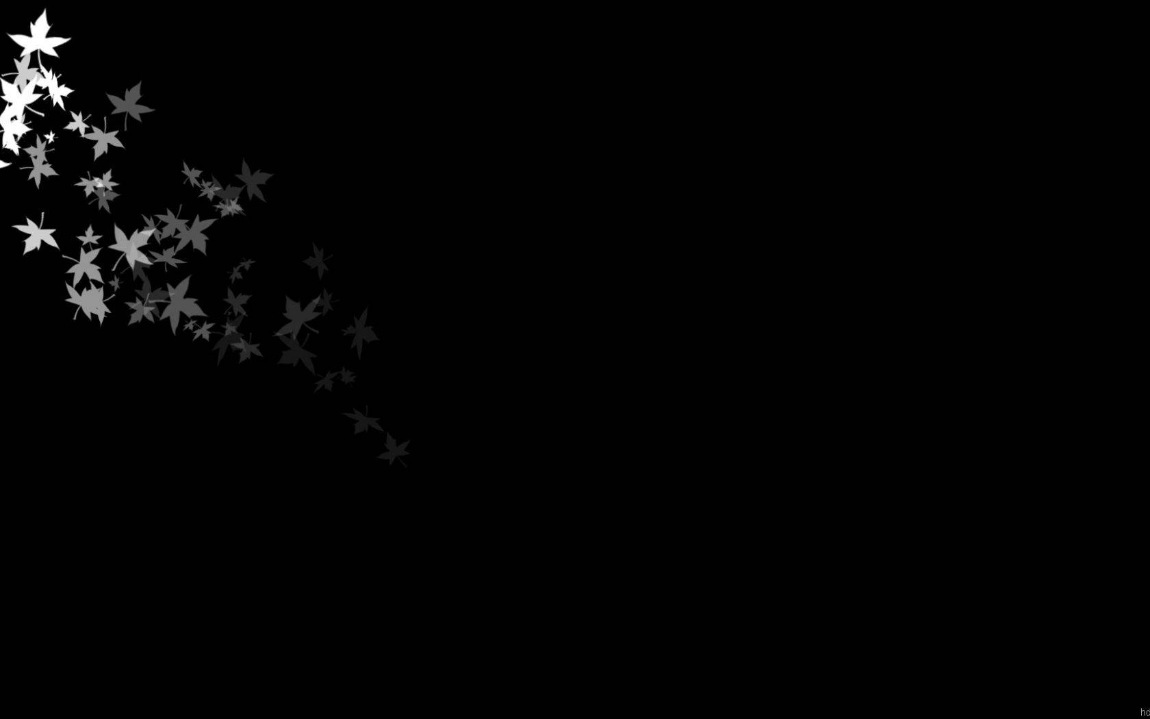 white maple leaves, stark black background, diagonal cascade, HD Desktop Wallpaper