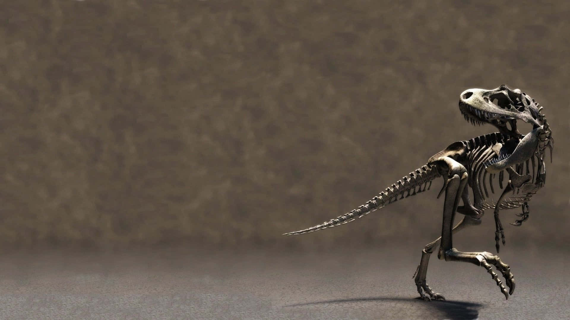 Black Dinosaur, t rex skeleton, dark floor, Full HD Desktop Wallpaper