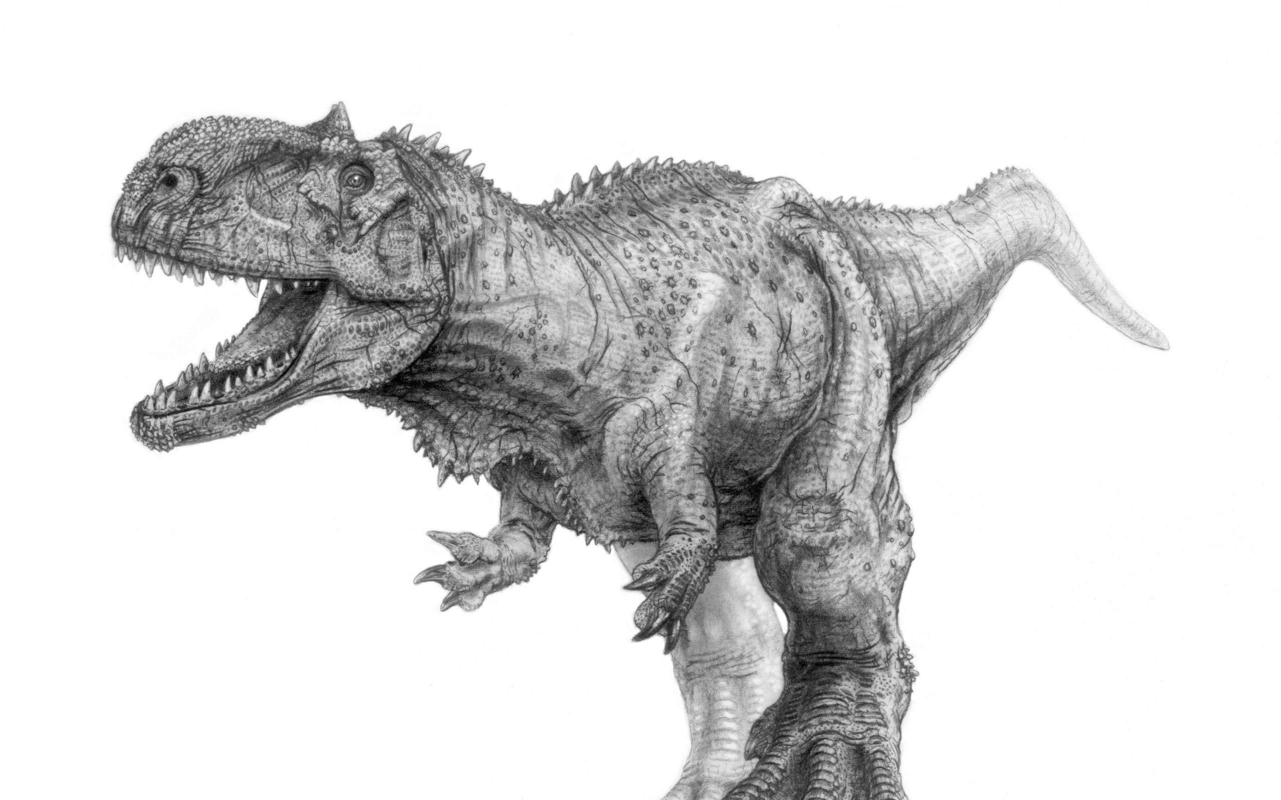 black dinosaur, roaring, textured skin, 2K Desktop Wallpaper