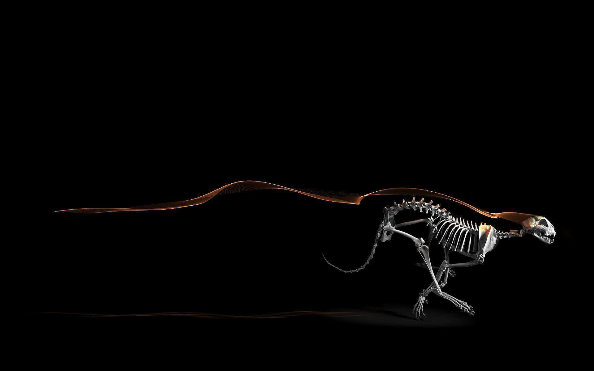 Black Dinosaur, sleek dinosaur skeleton, warm amber light, Full HD Desktop Wallpaper