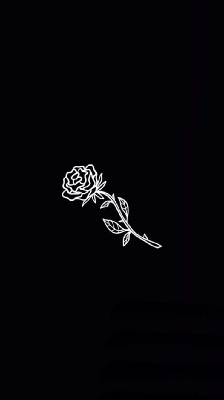 Black Dope, rose, stem, HD Phone Wallpaper