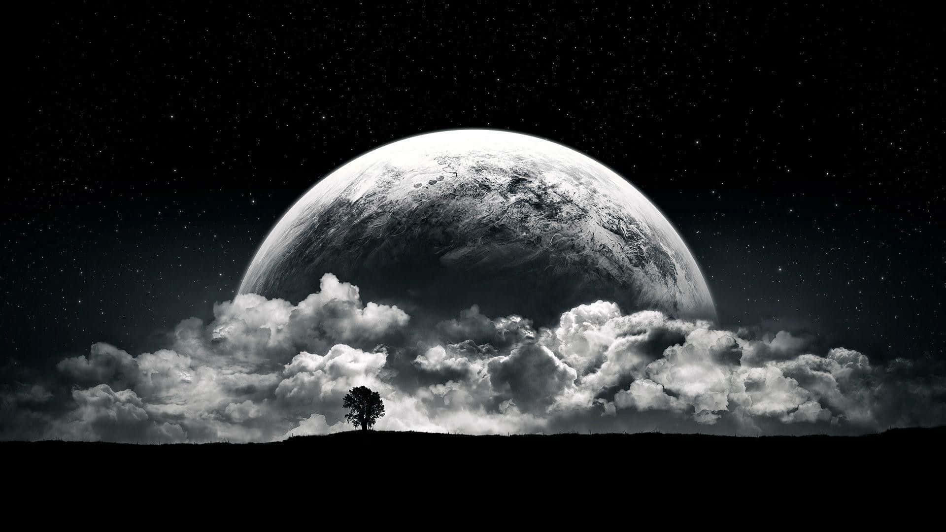 Black Dope, lone tree, hill, Full HD Desktop Wallpaper
