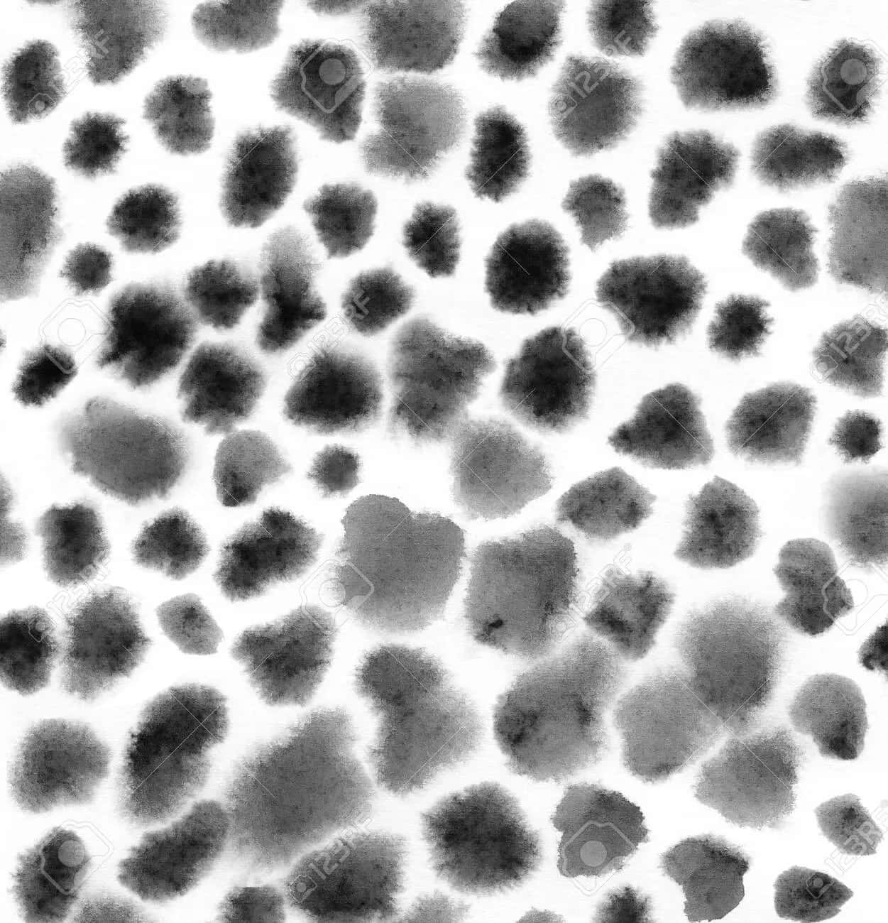 Black Dots, abstract black and white watercolor splatters, bright white background, HD Phone Wallpaper