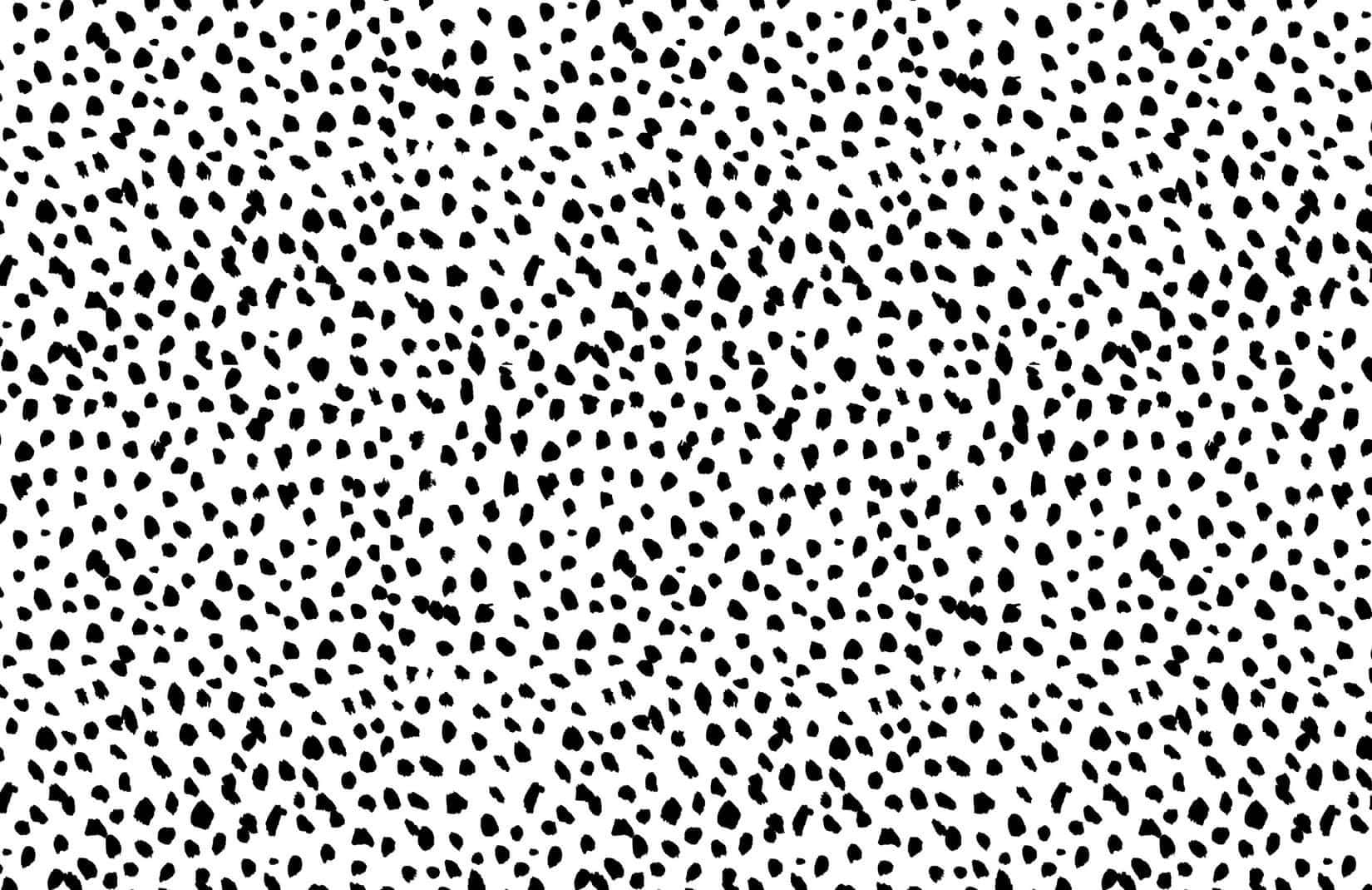 black and white polka dot pattern, irregular spots, stylized animal print, HD Desktop Wallpaper