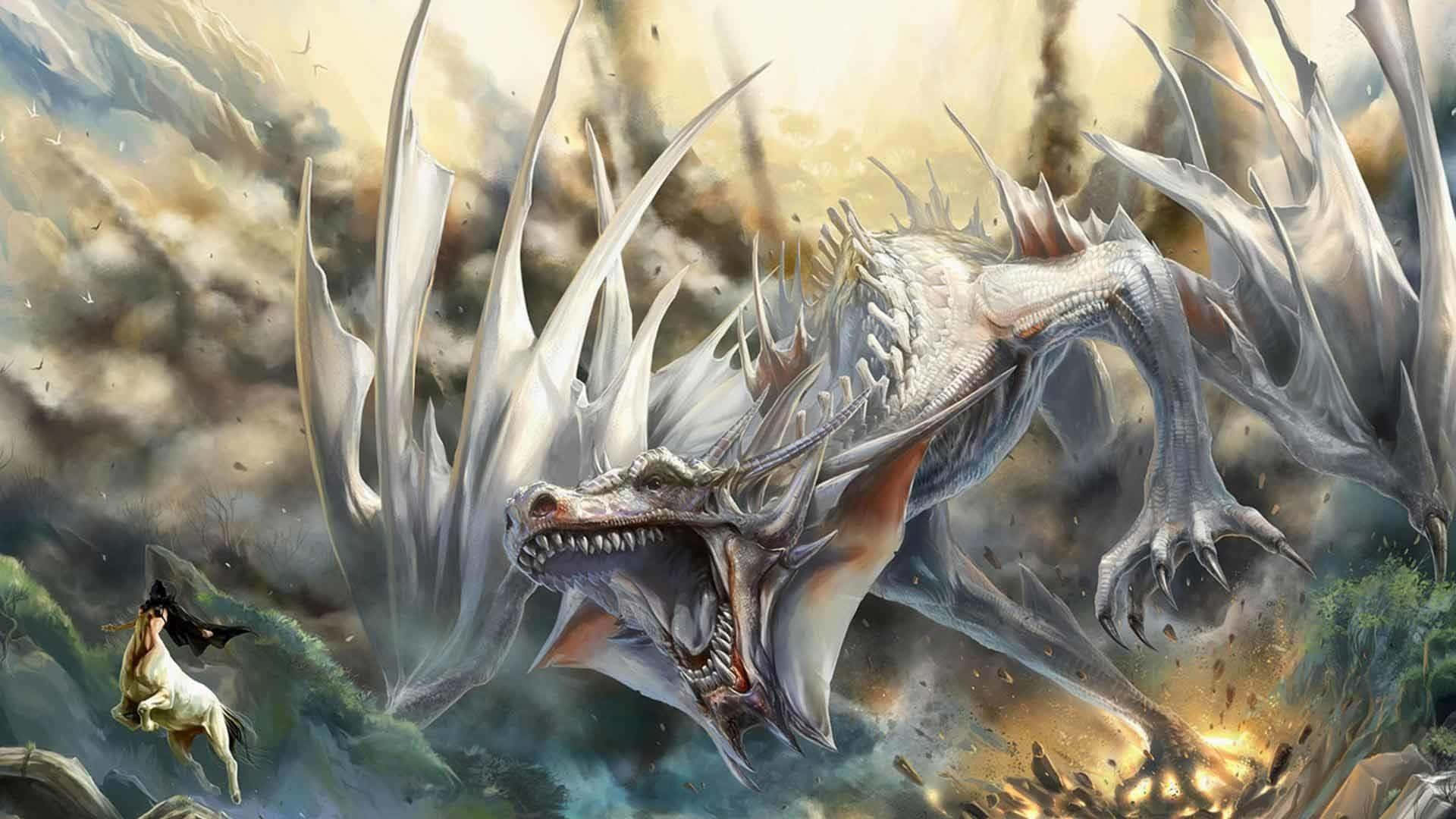 Black Dragon, white dragon, spiked wings, Full HD Desktop Wallpaper