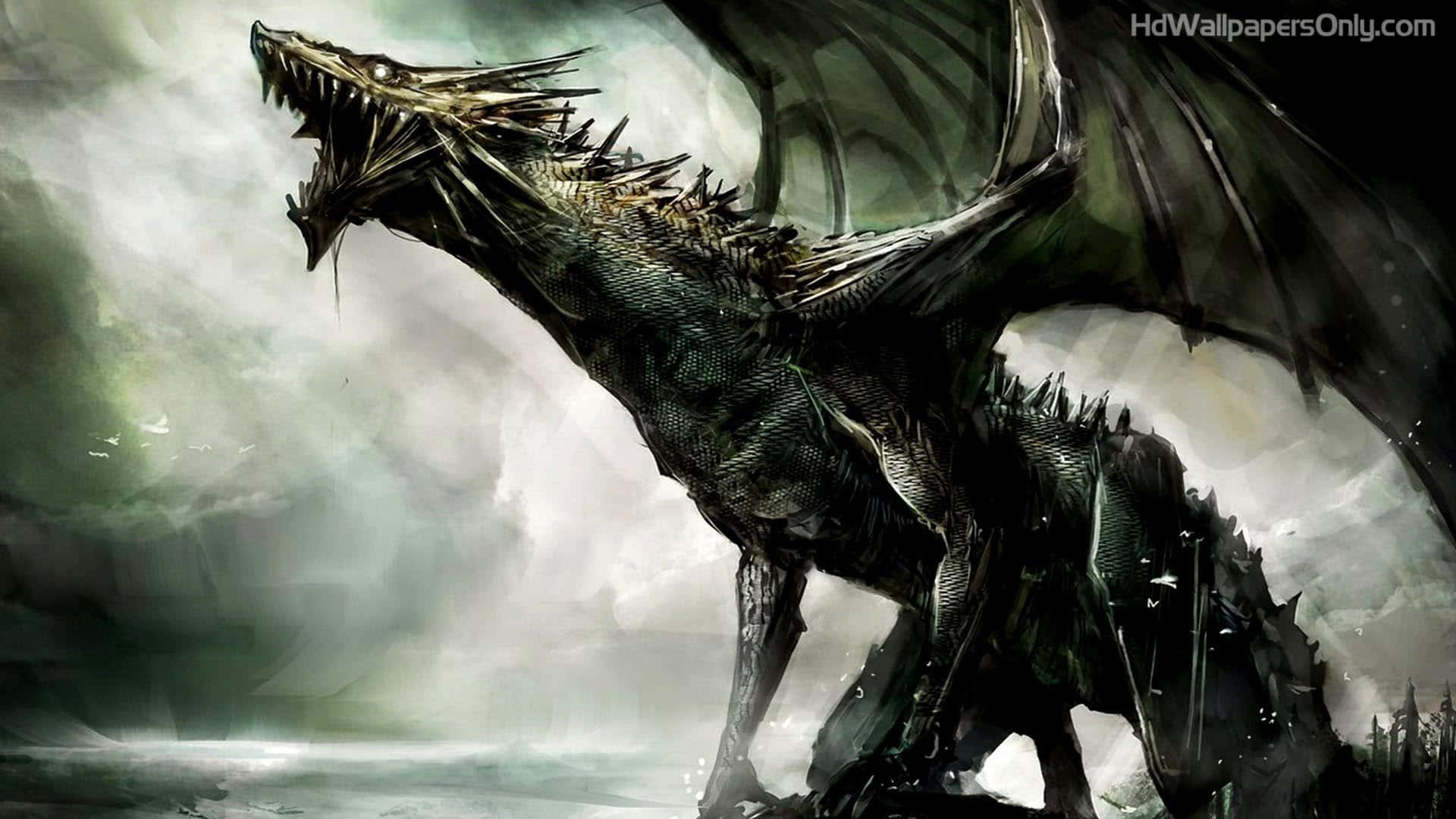 Black Dragon, spiked scales, outstretched wings, Full HD Desktop Wallpaper