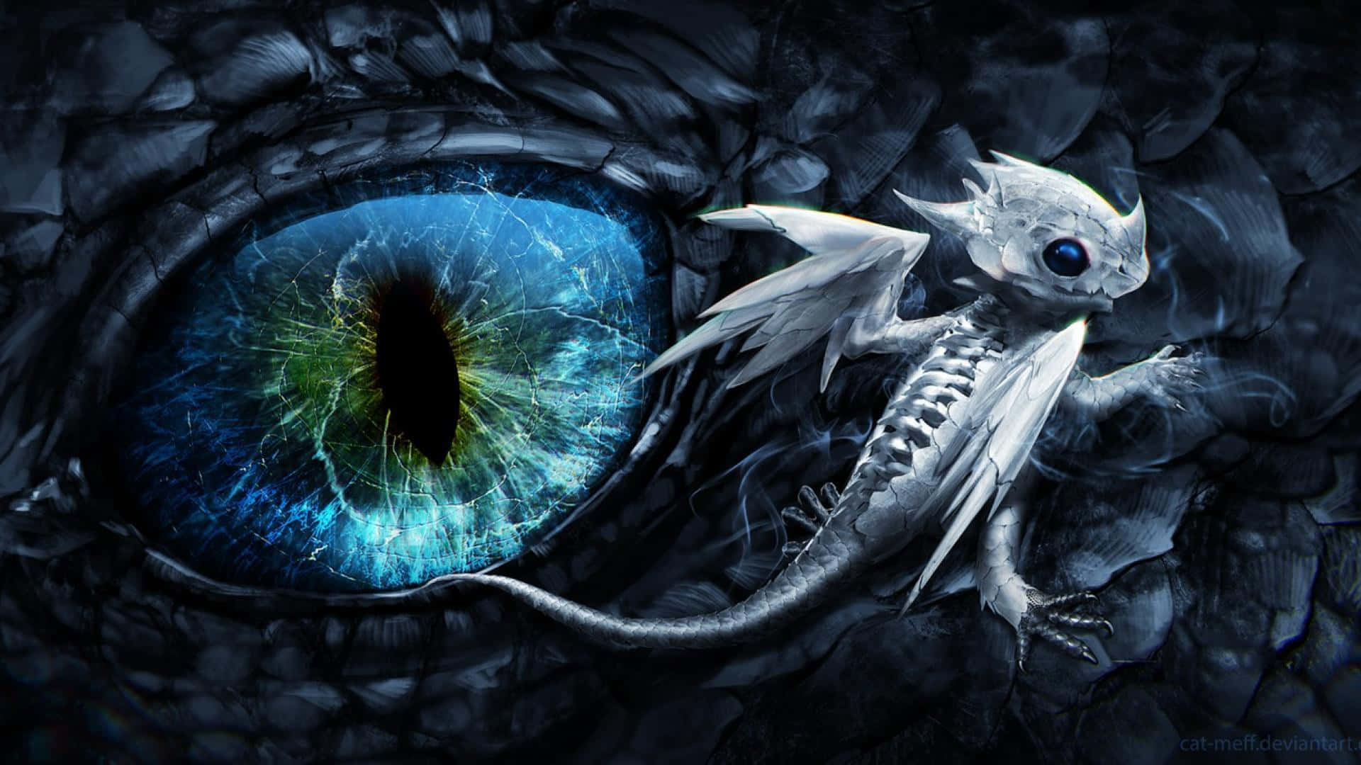 Black Dragon, hatchling, silver dragon, Full HD Desktop Wallpaper