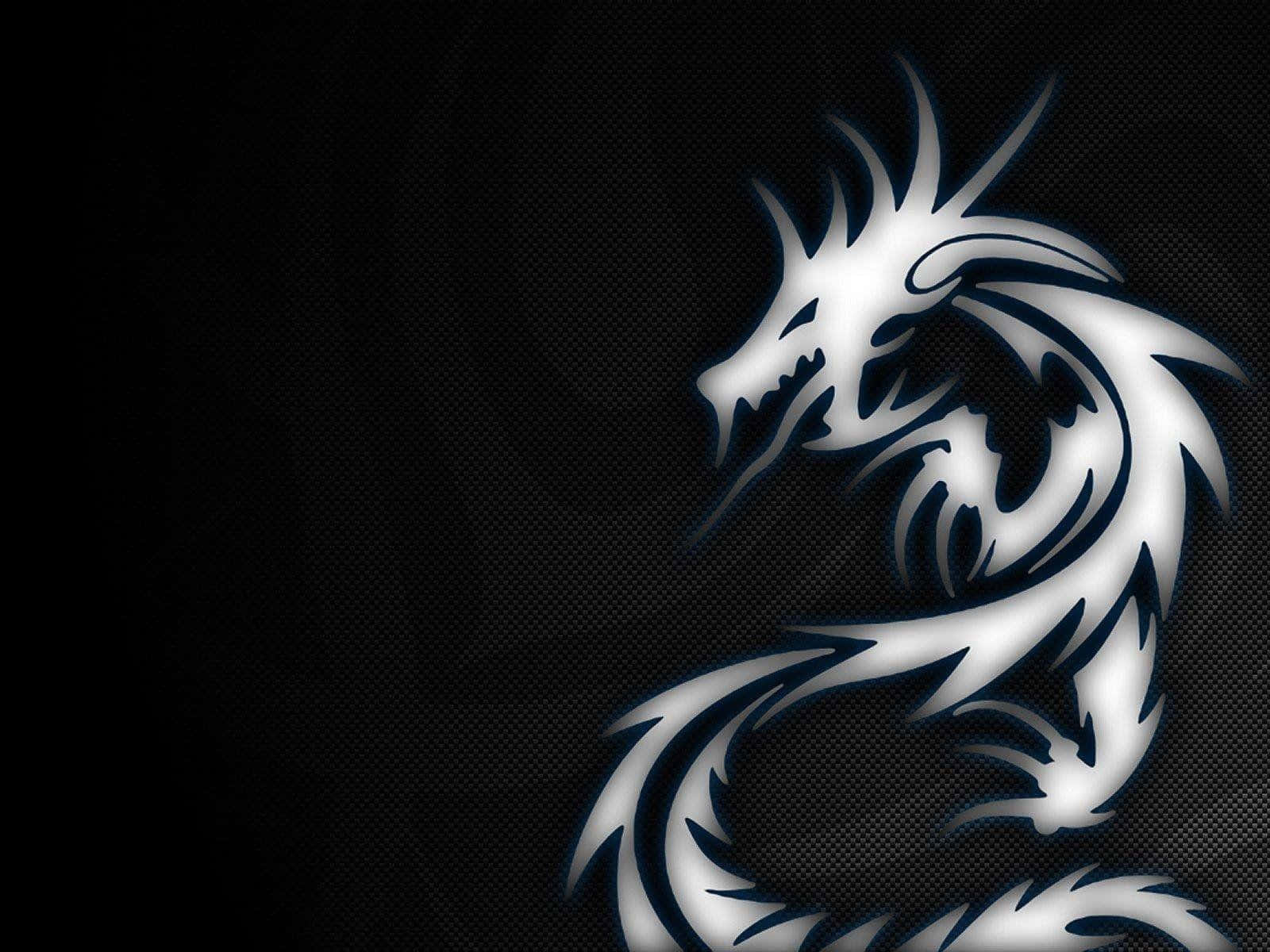 Black Dragon, silver, sharp spines, HD Desktop Wallpaper