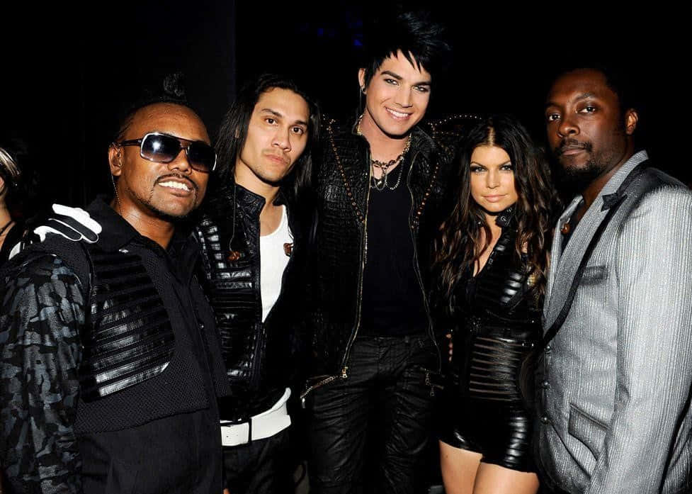 Black Eyed Peas, nightclub, dimly lit, SD Desktop Wallpaper