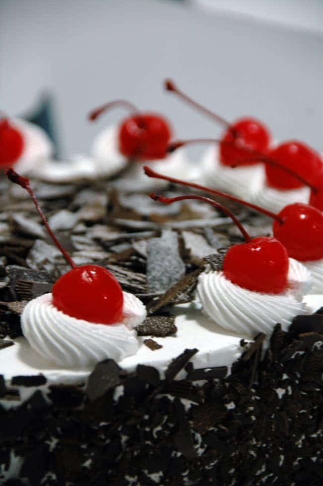 Black Forest Cake, glossy cherries, whipped cream, SD Phone Wallpaper
