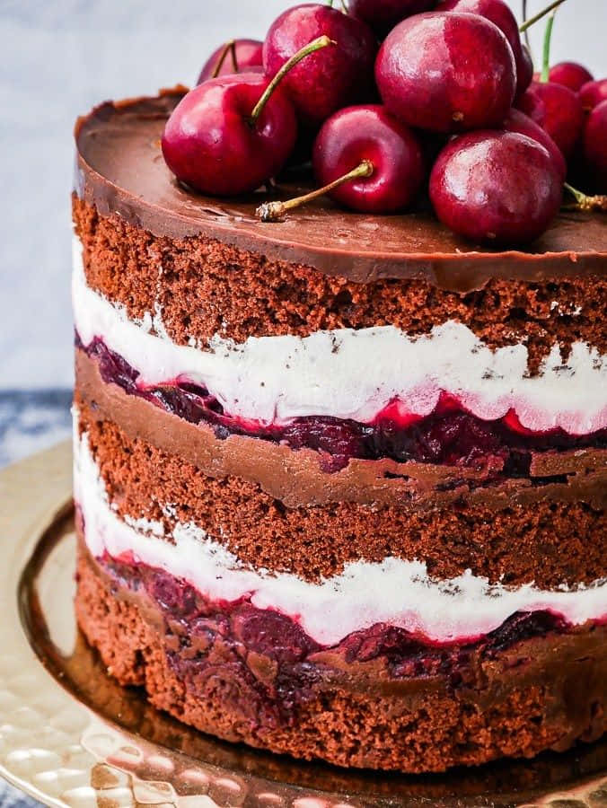 Black Forest Cake, red velvet cake, chocolate frosting, SD Phone Wallpaper