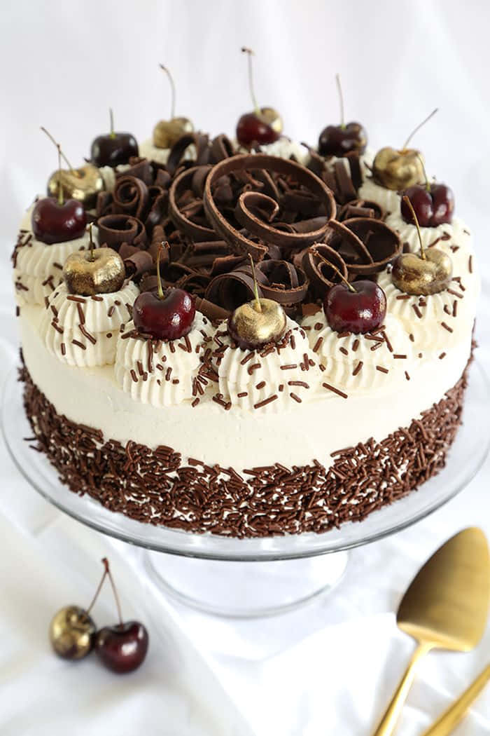 Black Forest Cake, whipped cream, chocolate curls, SD Phone Wallpaper