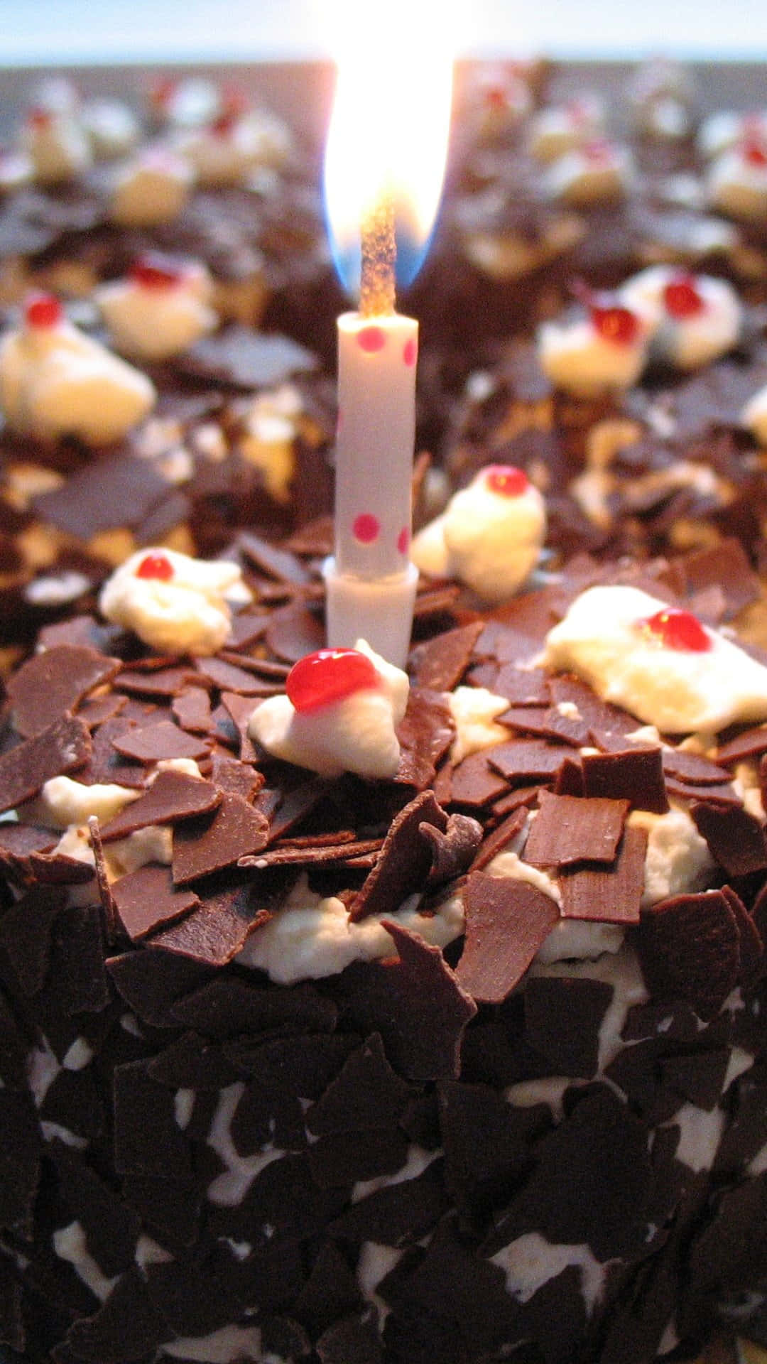 Black Forest Cake, chocolate cake, whipped cream, Full HD Phone Wallpaper