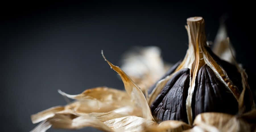 black garlic, dark roasted garlic bulb, papery golden skin, SD Desktop Wallpaper