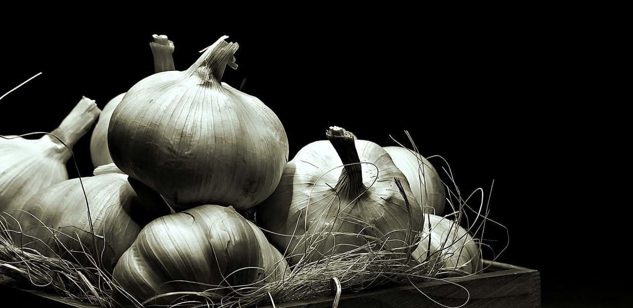 black garlic, monochrome, straw, HD Desktop Wallpaper