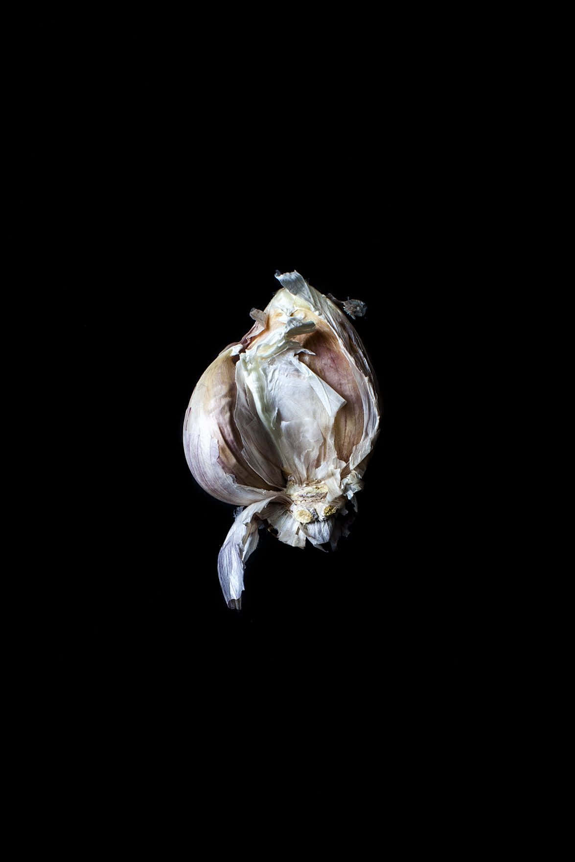 Black Garlic, garlic bulb, papery skin, HD Phone Wallpaper