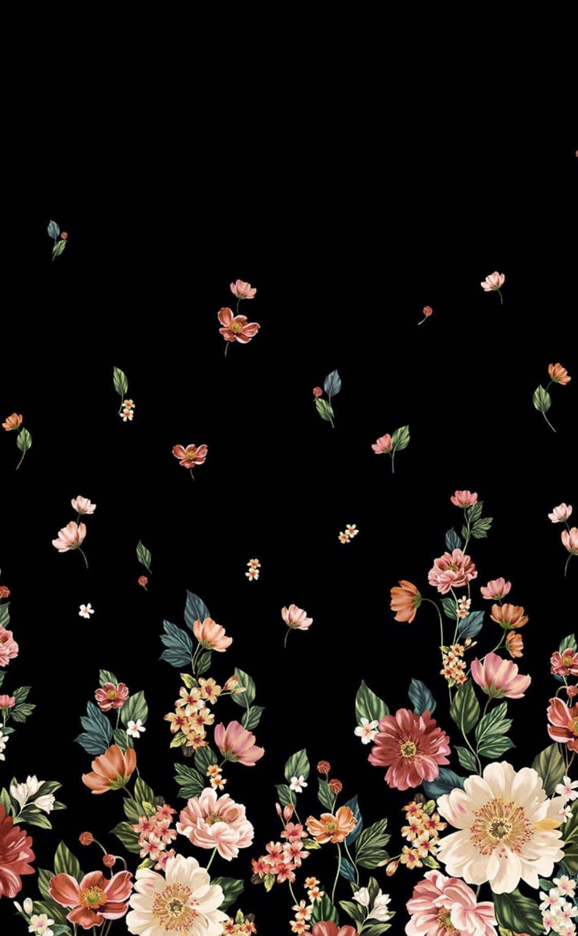 floral design, black background, soft pinks, HD Phone Wallpaper