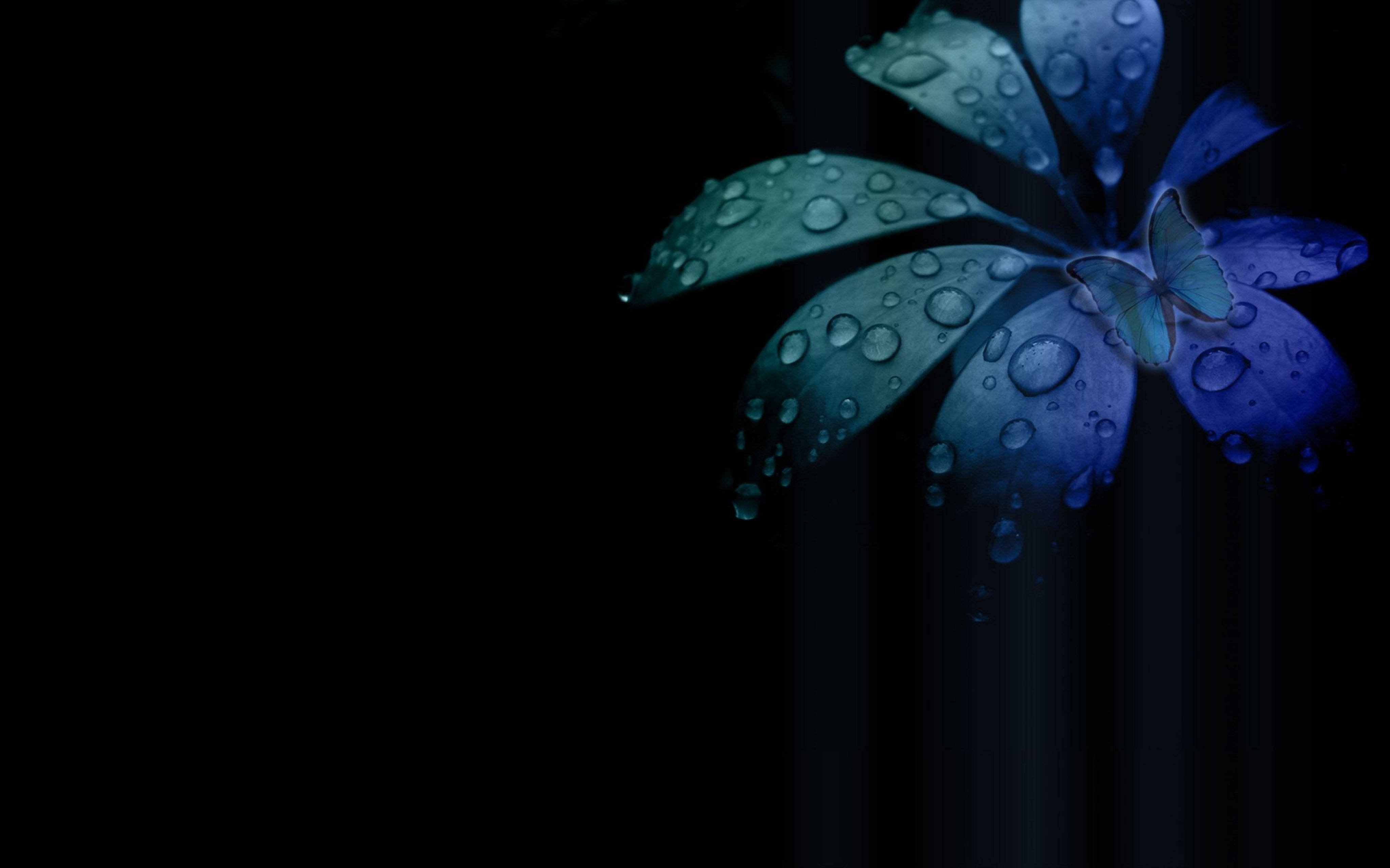 Misty Flower, glowing blue flower, dew drops, 4K Desktop Wallpaper