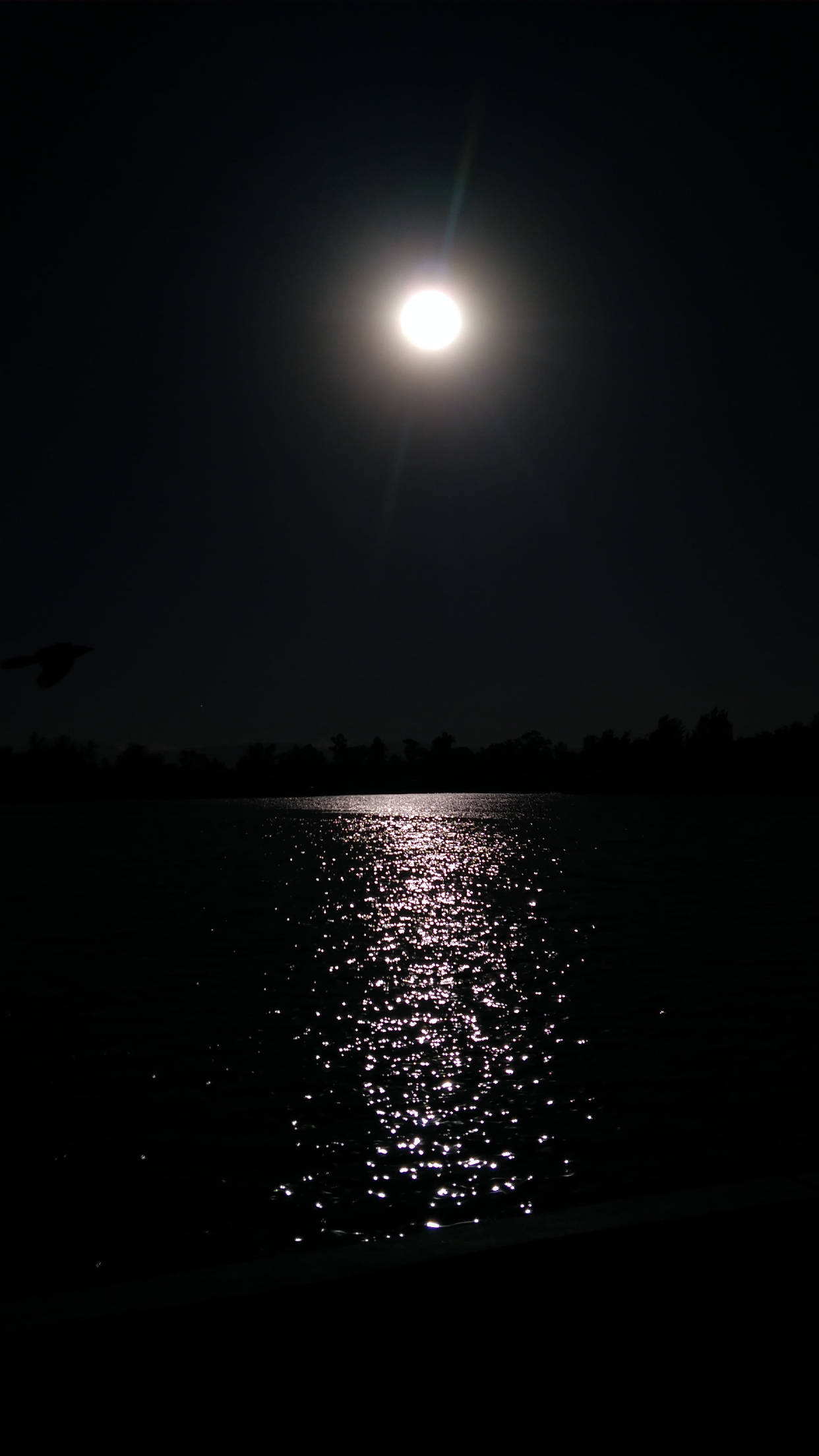 Black iPhone 6 Plus, full moon, dark lake, Full HD Phone Wallpaper