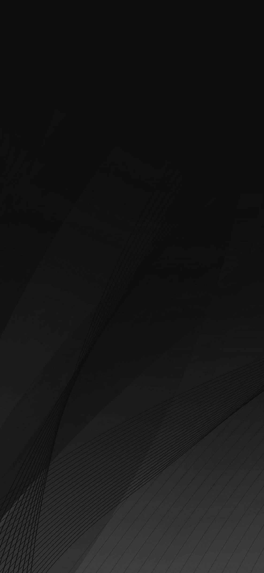 Plain Black iPhone, white petals, dark gray gradients, Full HD Phone Wallpaper