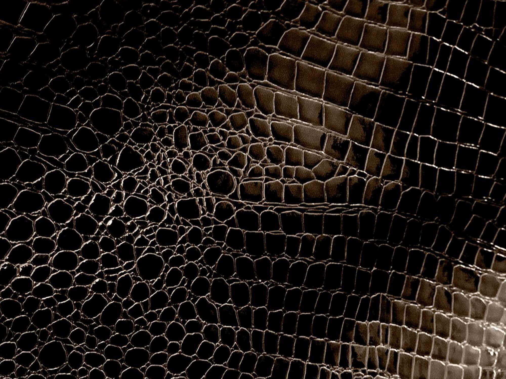 black leather, dark textured crocodile skin, intricate scales, Full HD Desktop Wallpaper