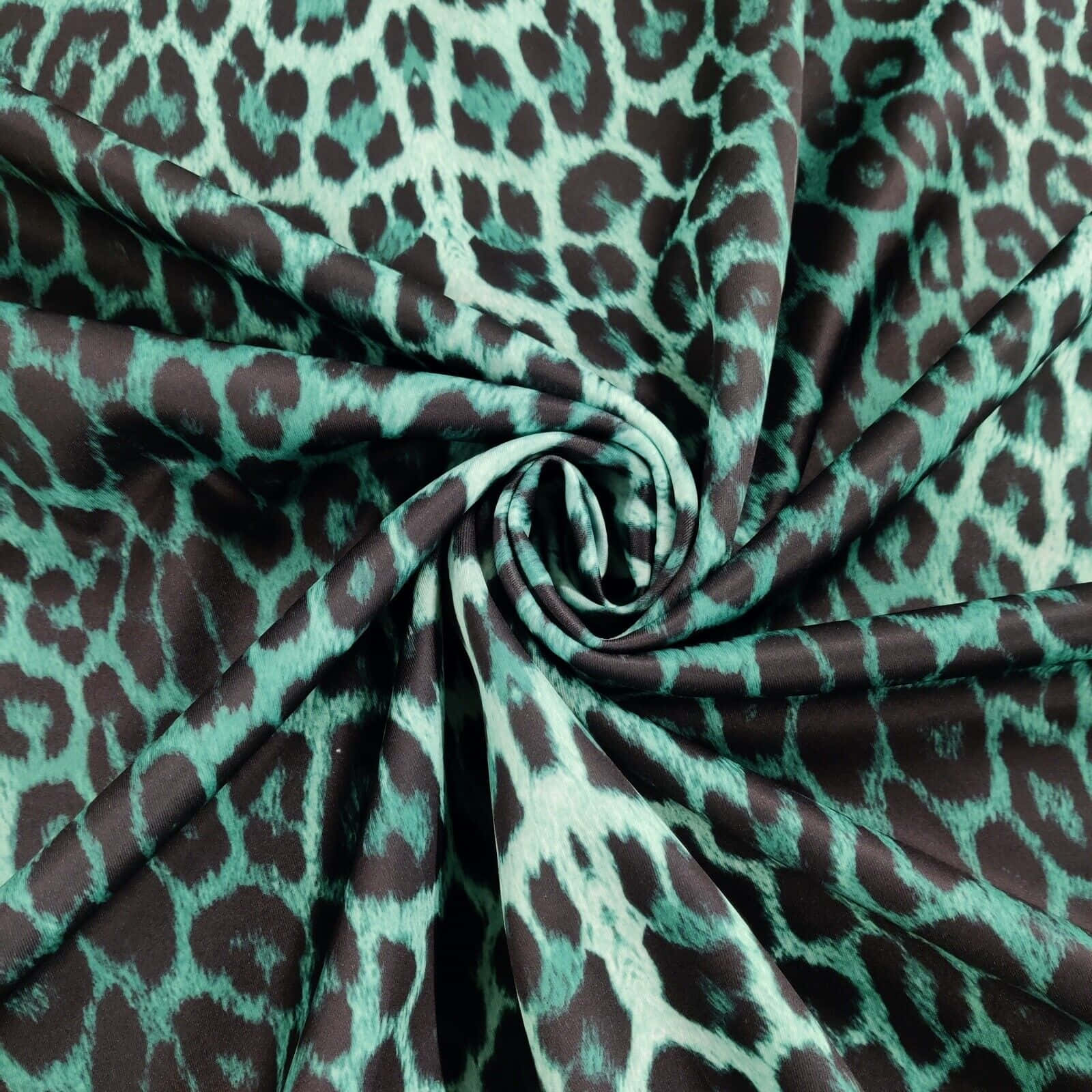 black leopard print, teal, dark brown, HD Desktop Wallpaper