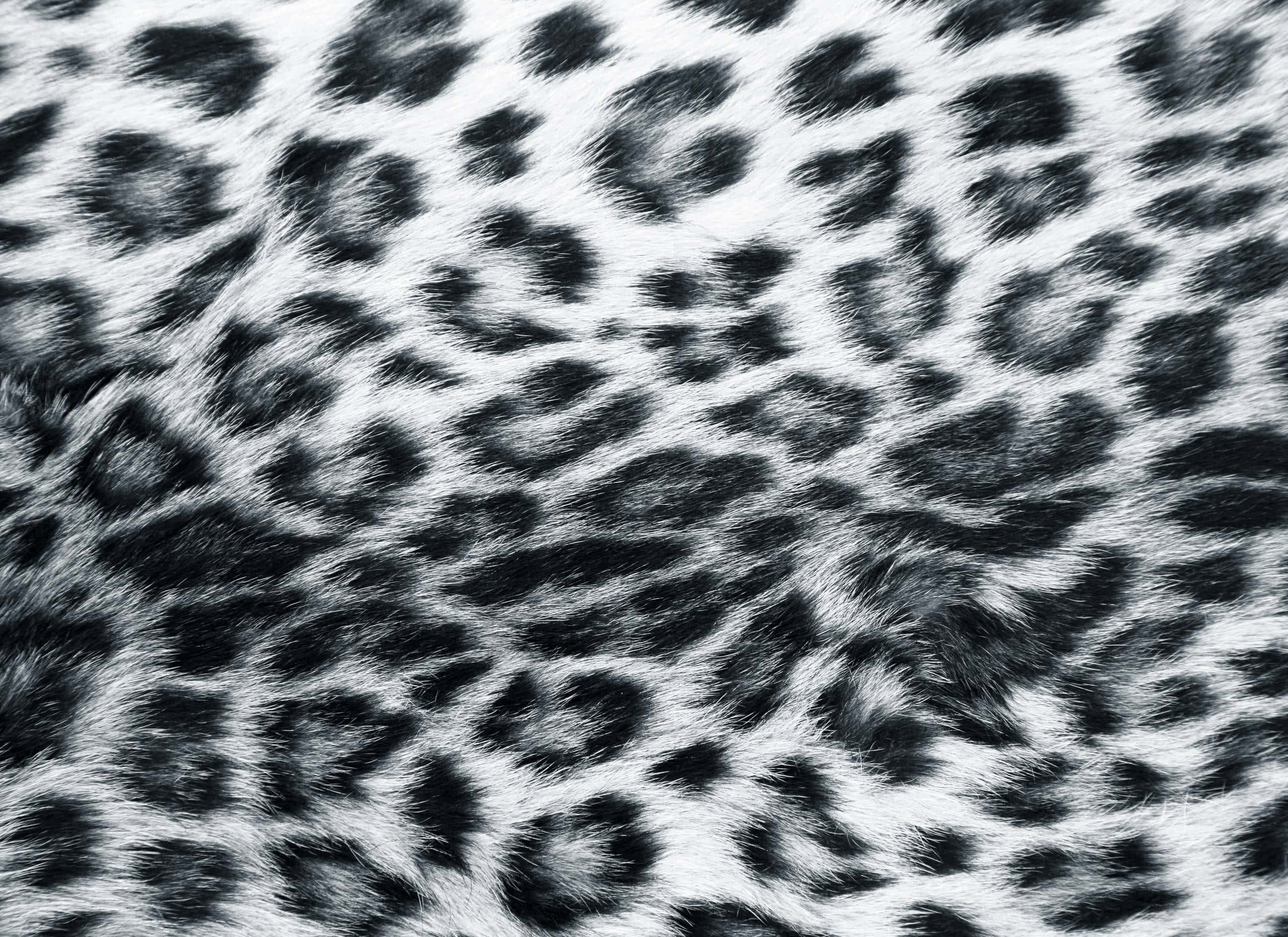 leopard print, black and white, fabric, 2K Desktop Wallpaper