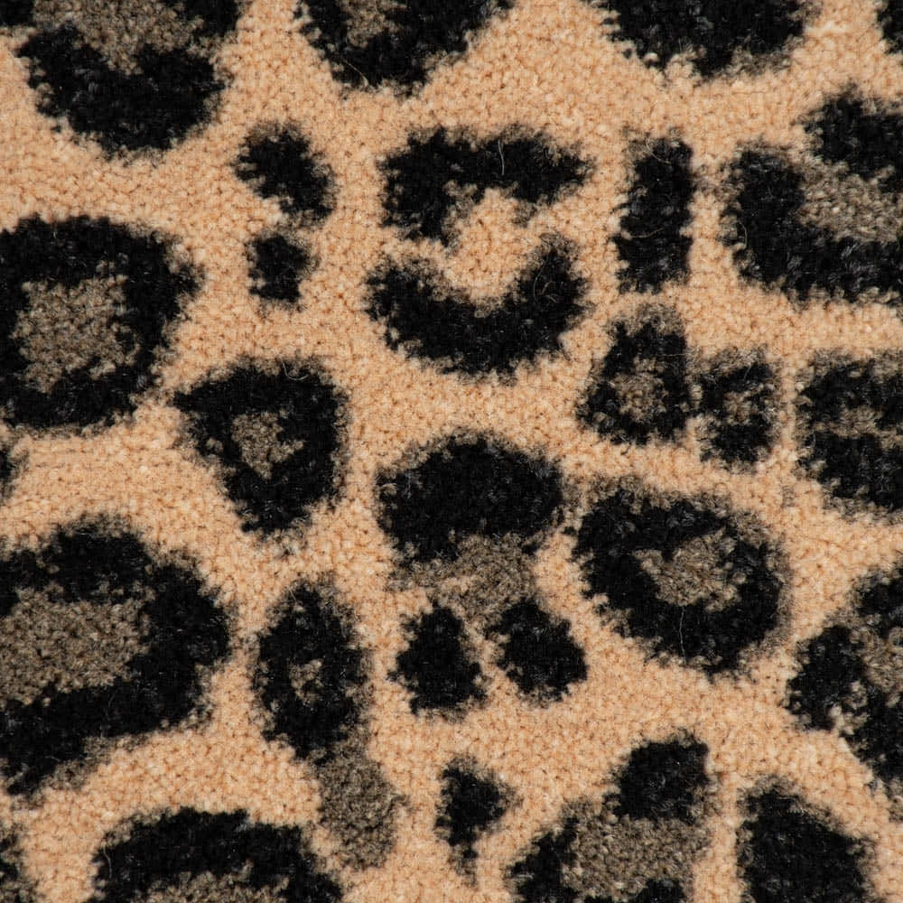 black leopard spots, plush beige carpet, textured pile, SD Desktop Wallpaper