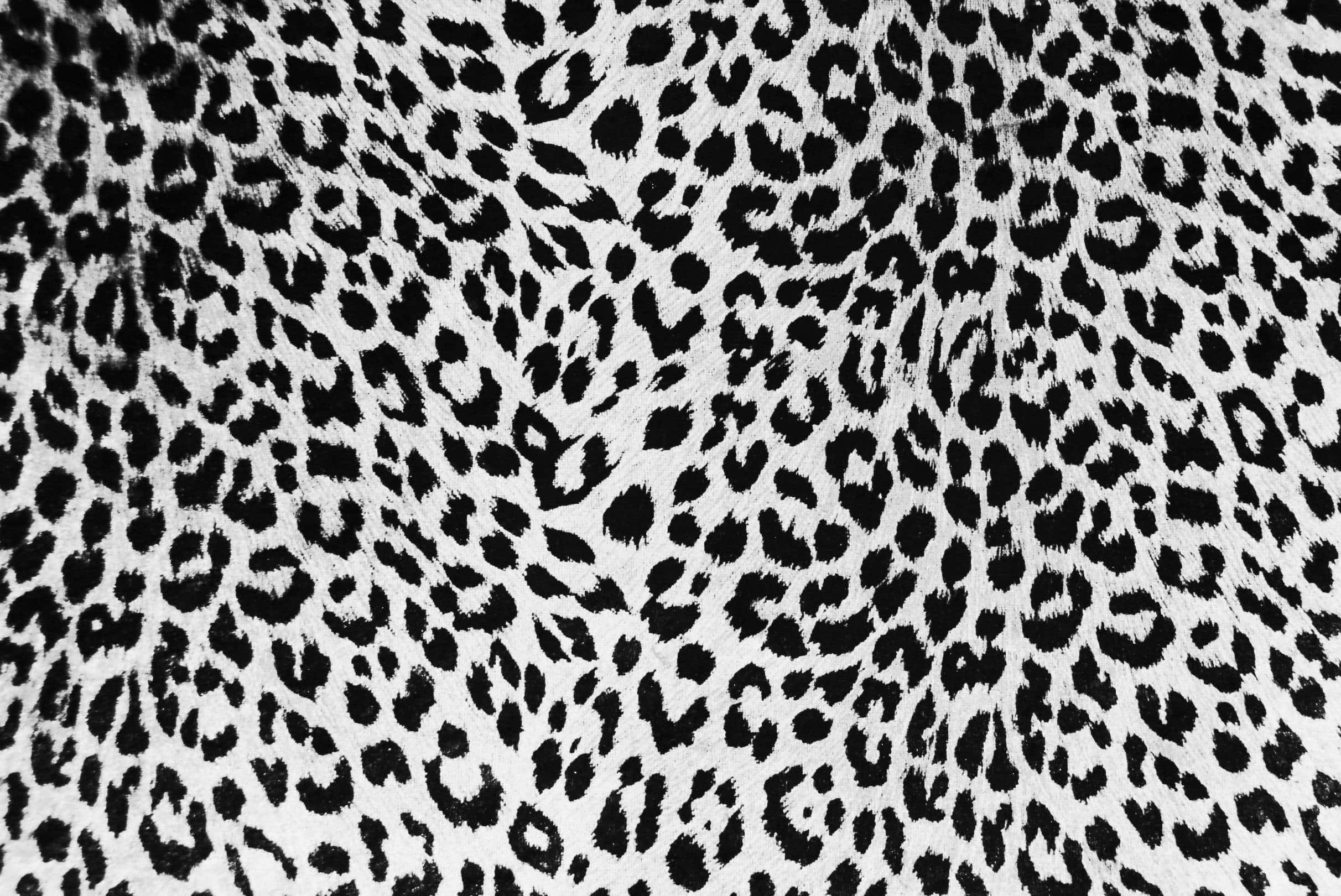 black leopard spots, white textured fabric, high-contrast pattern, Full HD Desktop Wallpaper