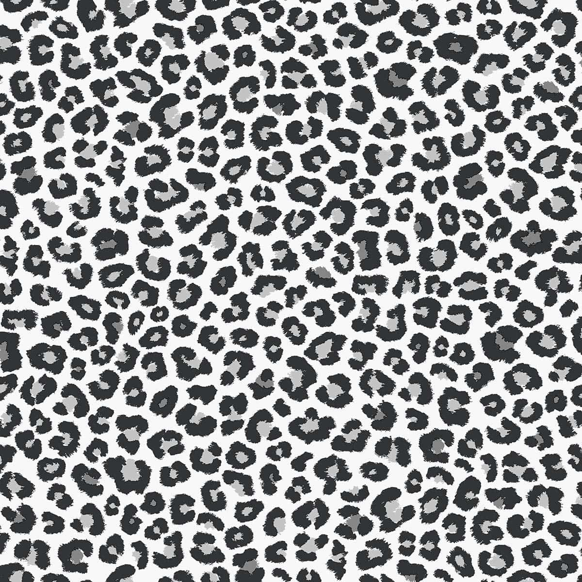 black and white leopard print pattern, textured brushstroke spots, clean white background, SD Desktop Wallpaper