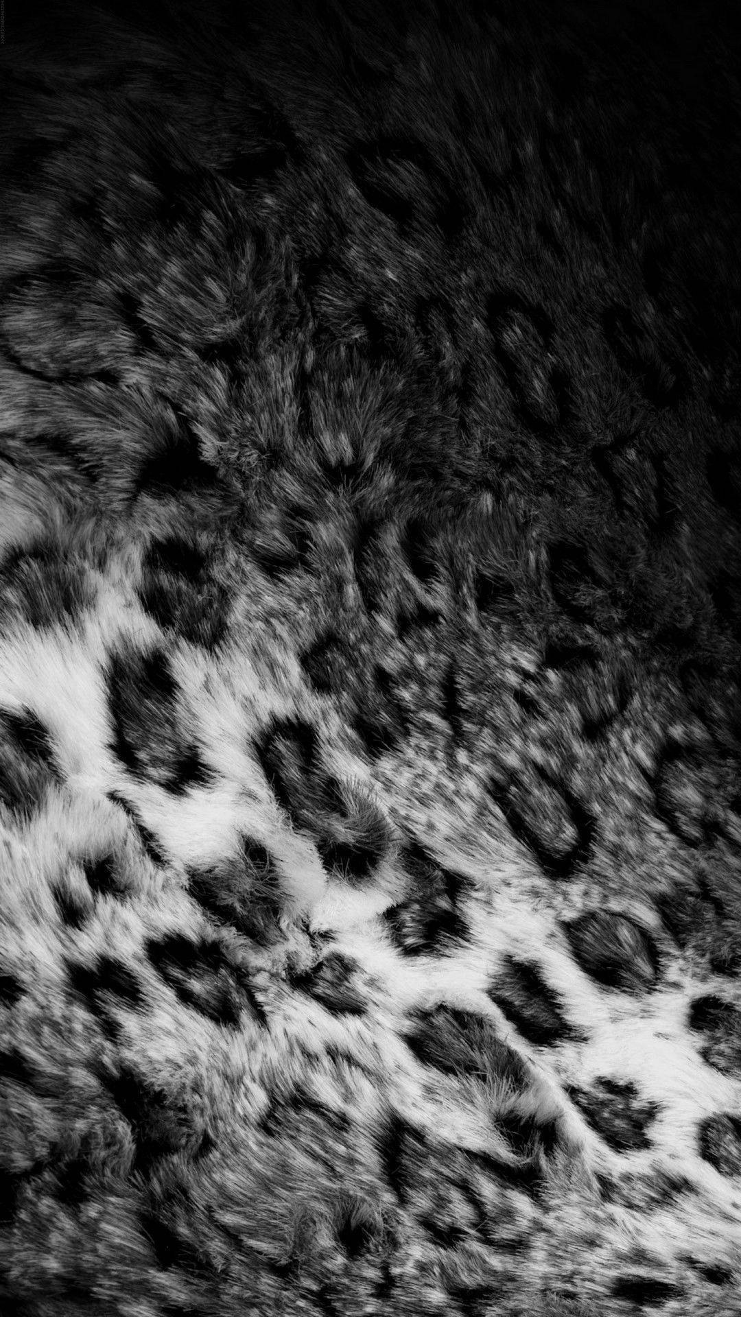 Dark Leopard Print, black and white leopard fur, spotted pattern, Full HD Phone Wallpaper
