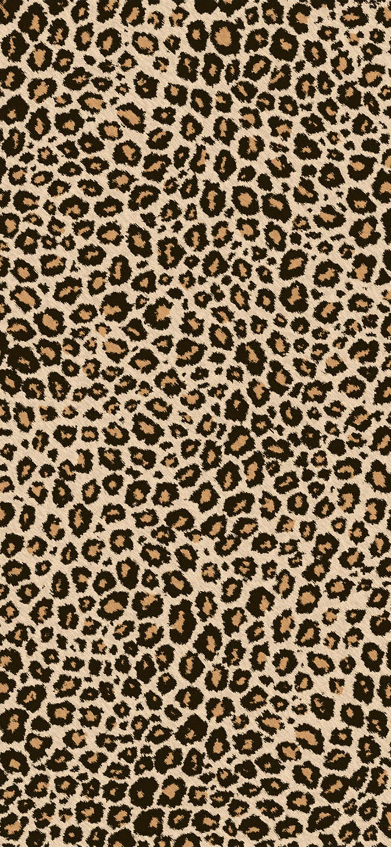 leopard print, dark brown spots, tan spots, 2K Phone Wallpaper