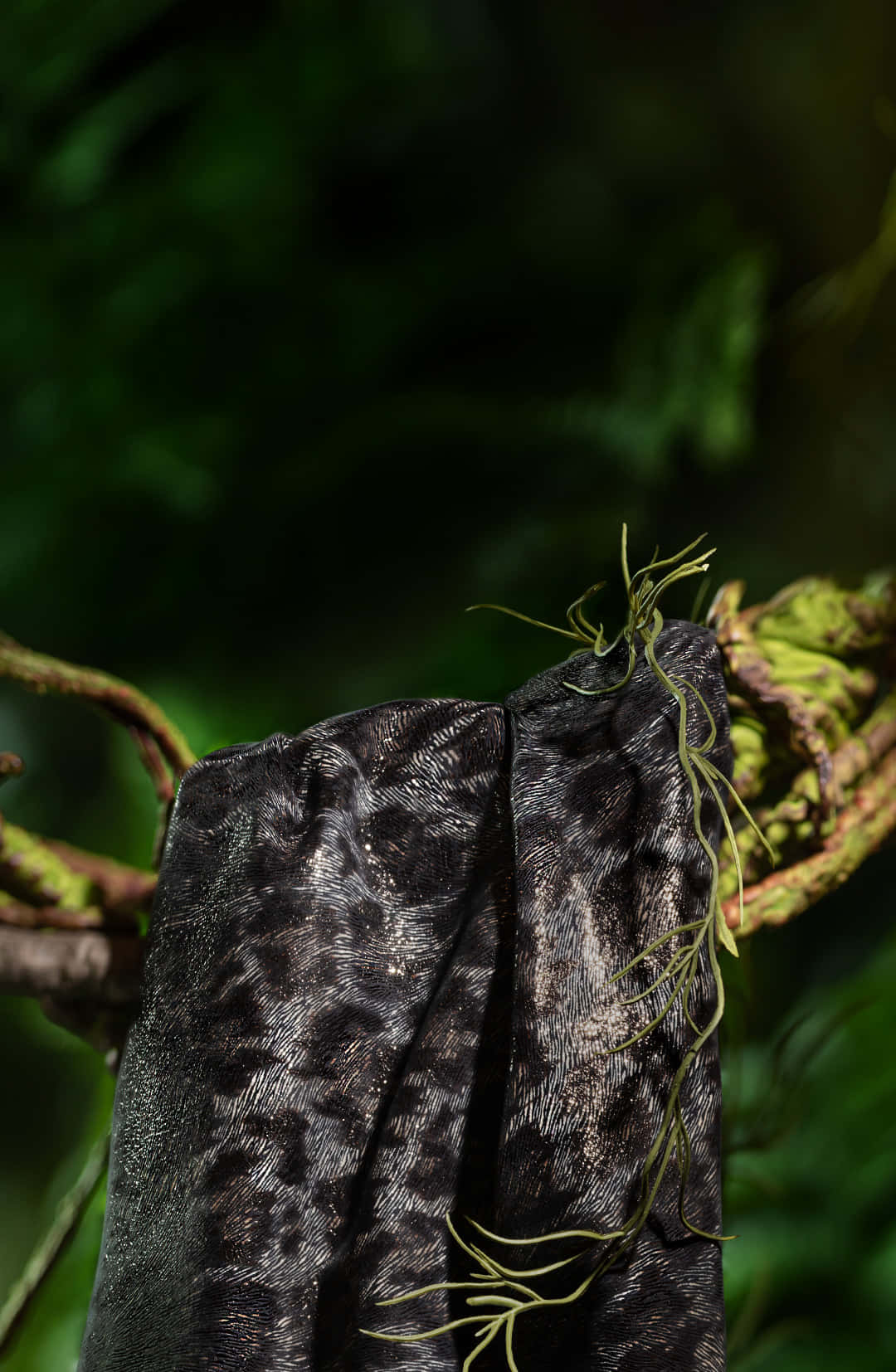 Black Leopard, dark textured fabric, branch, HD Phone Wallpaper